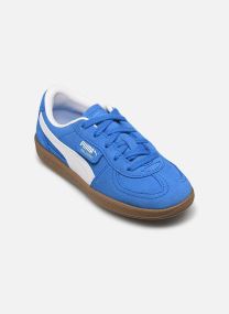 Baskets Palermo Ps bleu
