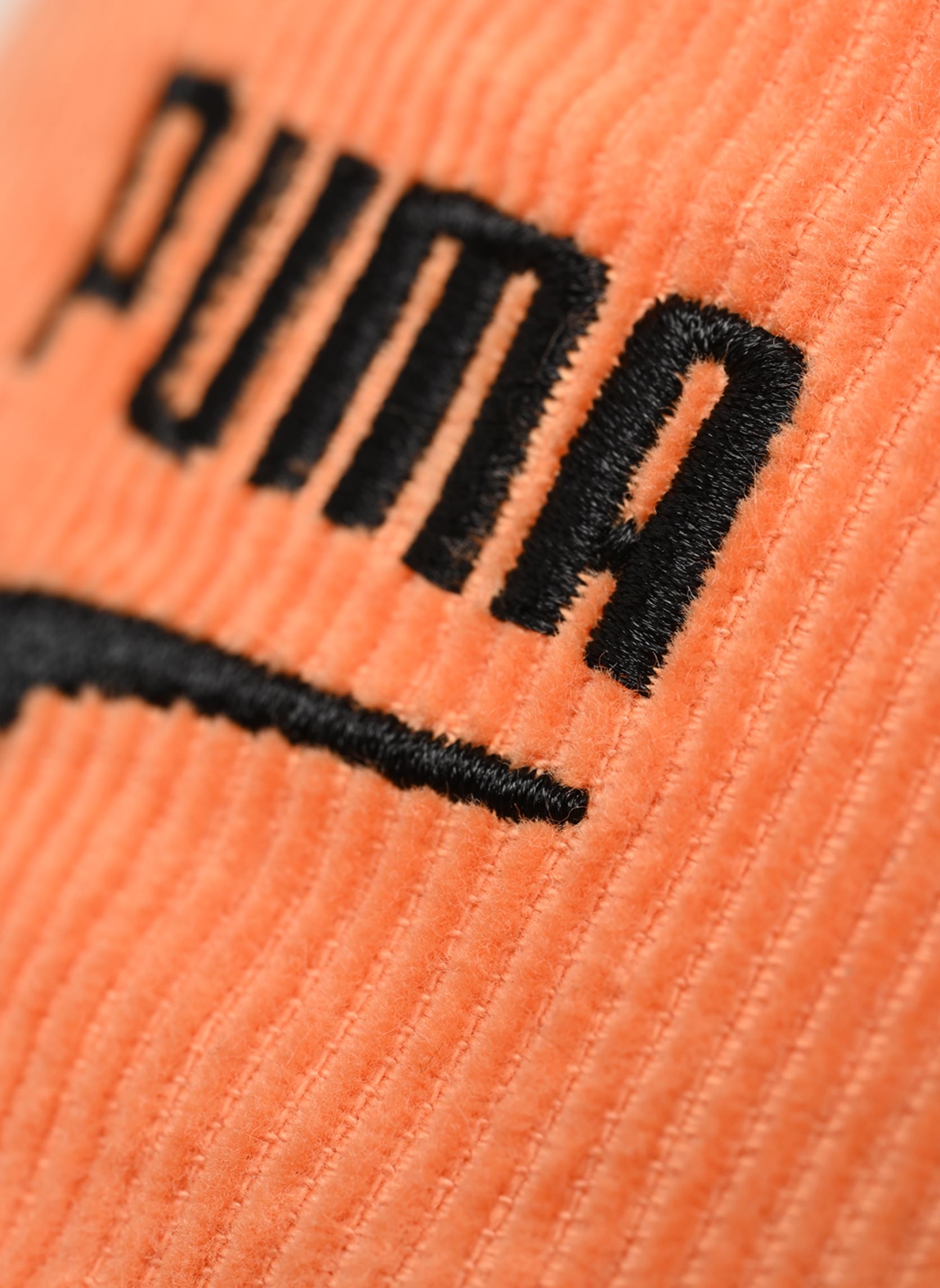 Casquettes Prime Skate Dad Cap orange Puma Casquettes Prime Skate Dad Cap orange Bright Melon