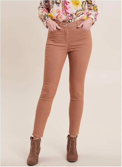 Bréal Pantalons droit PESUBLIMEH femme marron