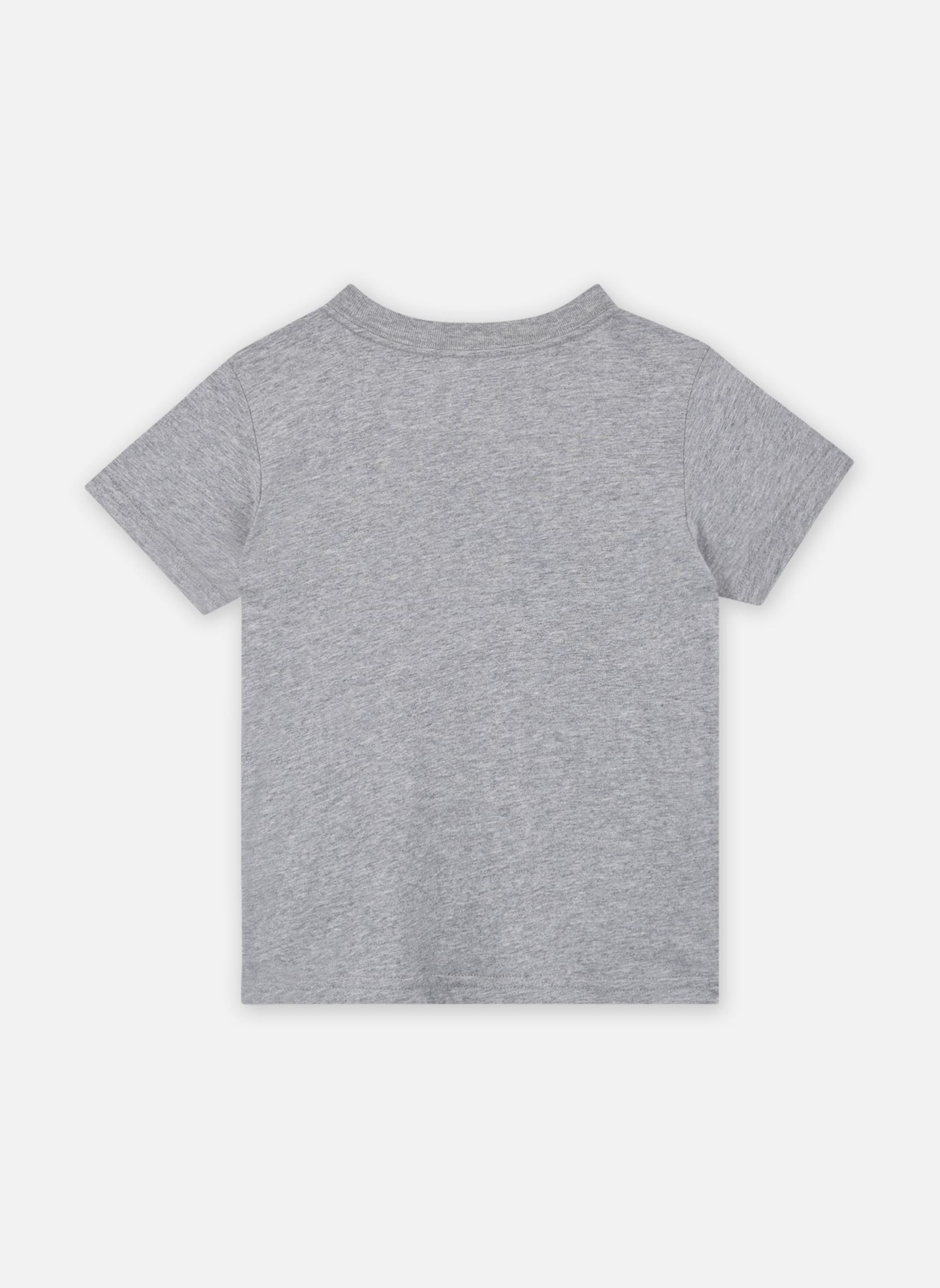 Tee-shirts manches courtes T-Shirt Col Rond Jersey De Coton Kids 83 garçon gris Polo Ralph Lauren Tee-shirts manches courtes T-Shirt Col Rond Jersey De Coton Kids 83 garçon gris ANDOVER HEATHER