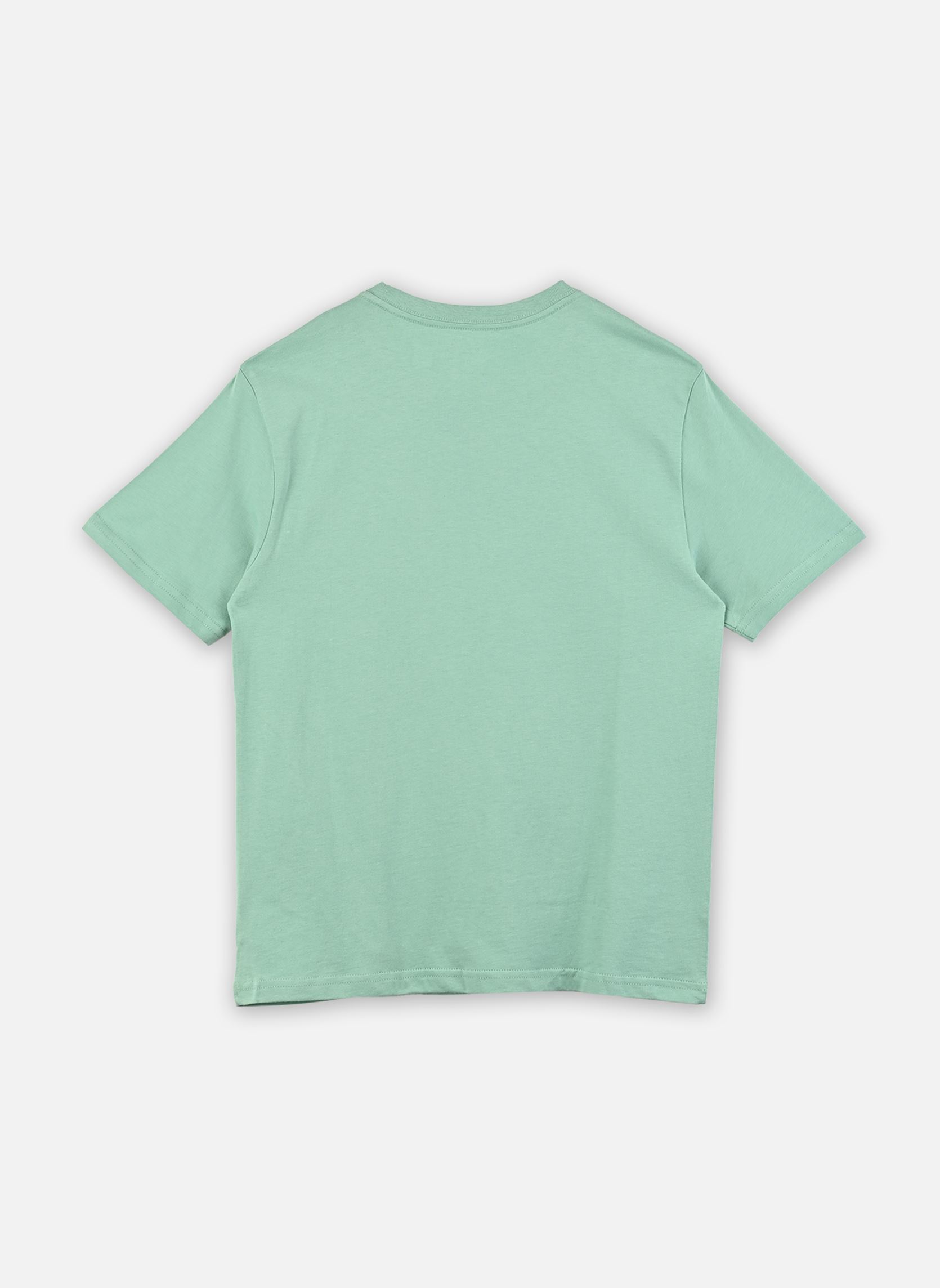 Tee-shirts manches courtes T-Shirt Col Rond Jersey De Coton Kids 83 garçon vert Polo Ralph Lauren Tee-shirts manches courtes T-Shirt Col Rond Jersey De Coton Kids 83 garçon vert CELADON/C1168