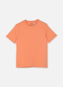 Tee-shirts manches courtes T-Shirt Col Rond Jersey De Coton Kids 83 garçon beige