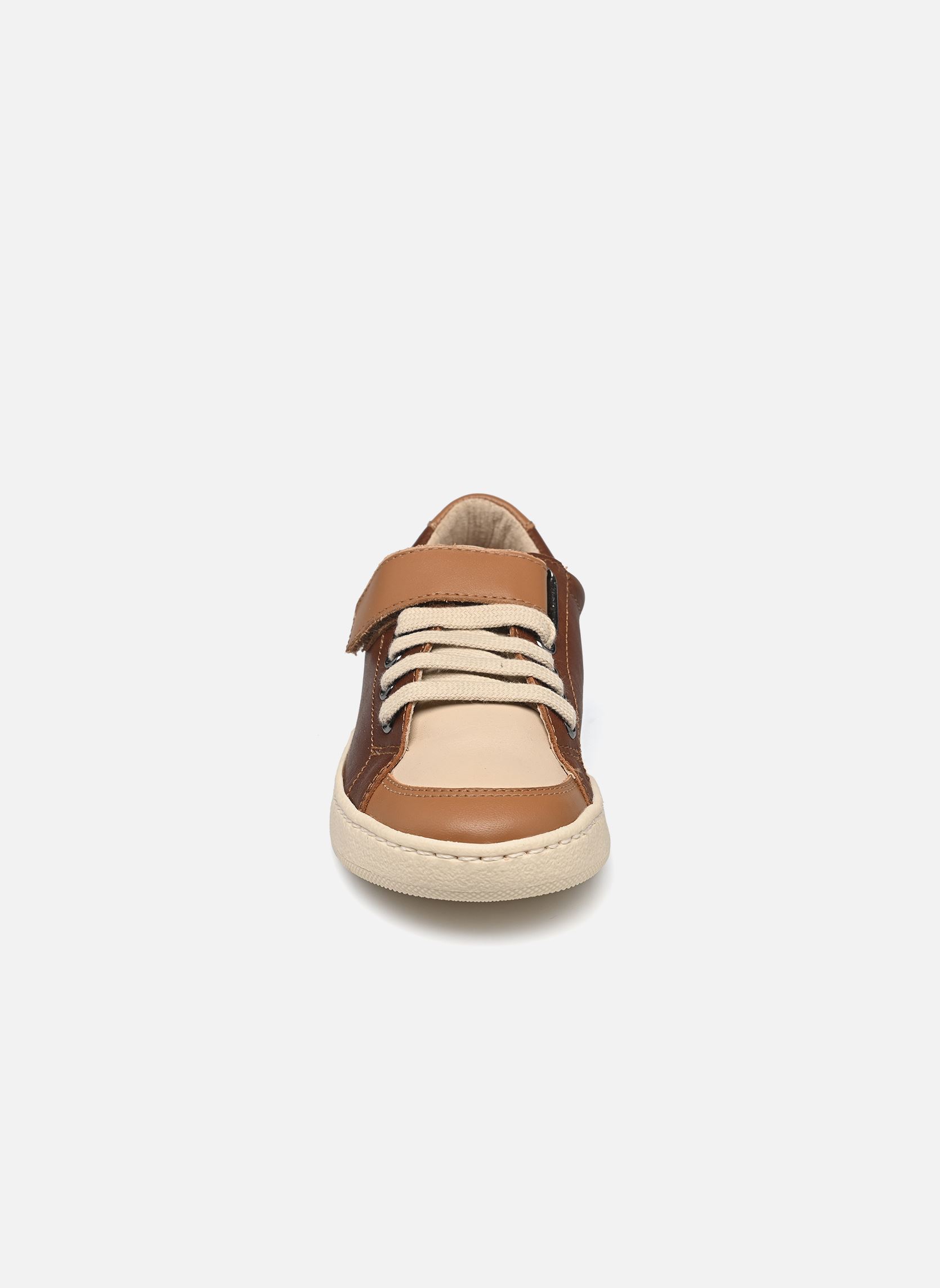 Sneaker TIGARS jungen braun Rose et Martin Sneaker TIGARS jungen braun Multi marron