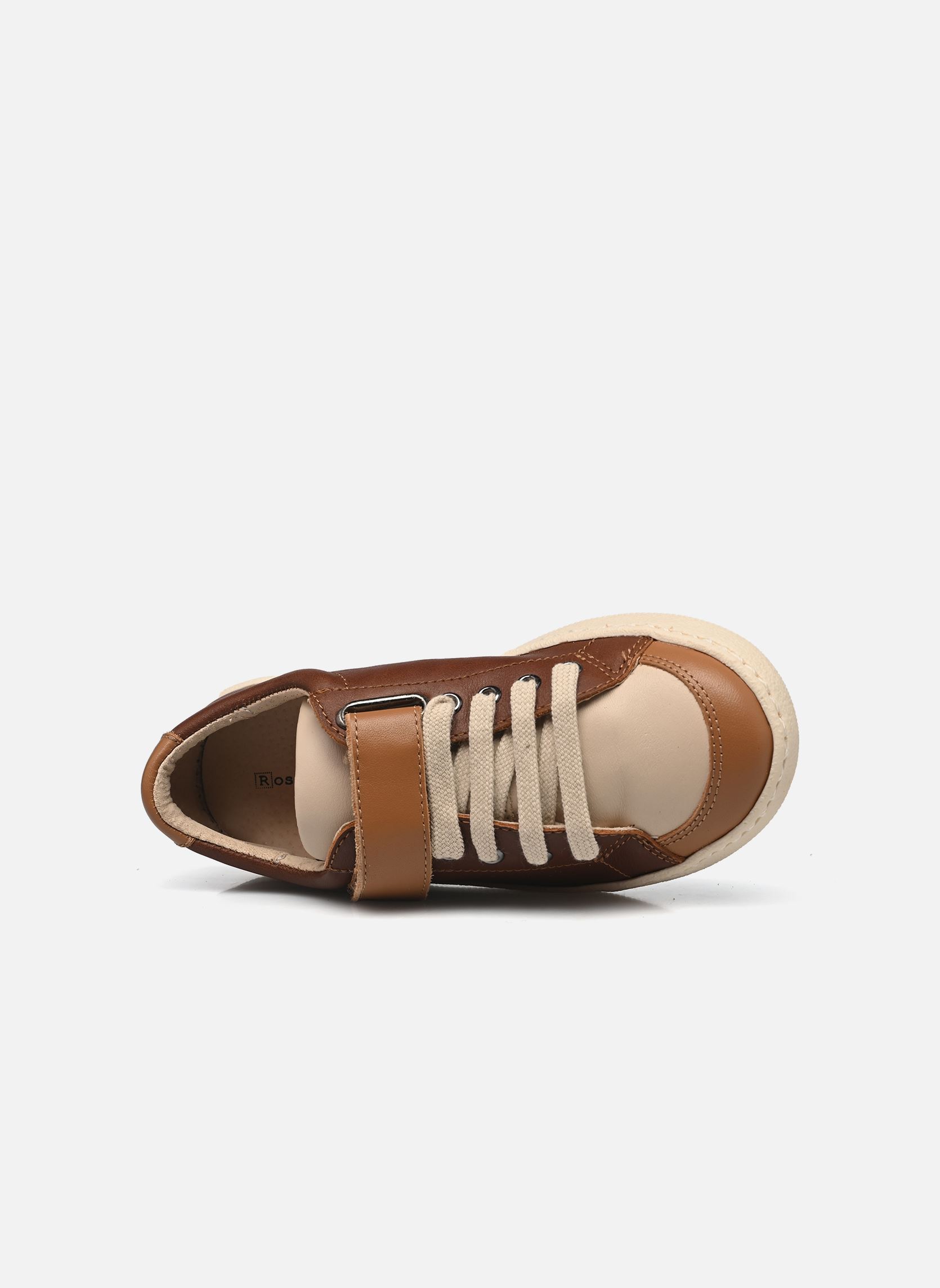 Sneaker TIGARS jungen braun Rose et Martin Sneaker TIGARS jungen braun Multi marron