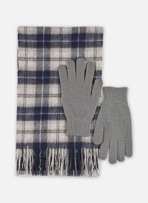 Echarpes barbour tartan scarf & glove gift set homme vert