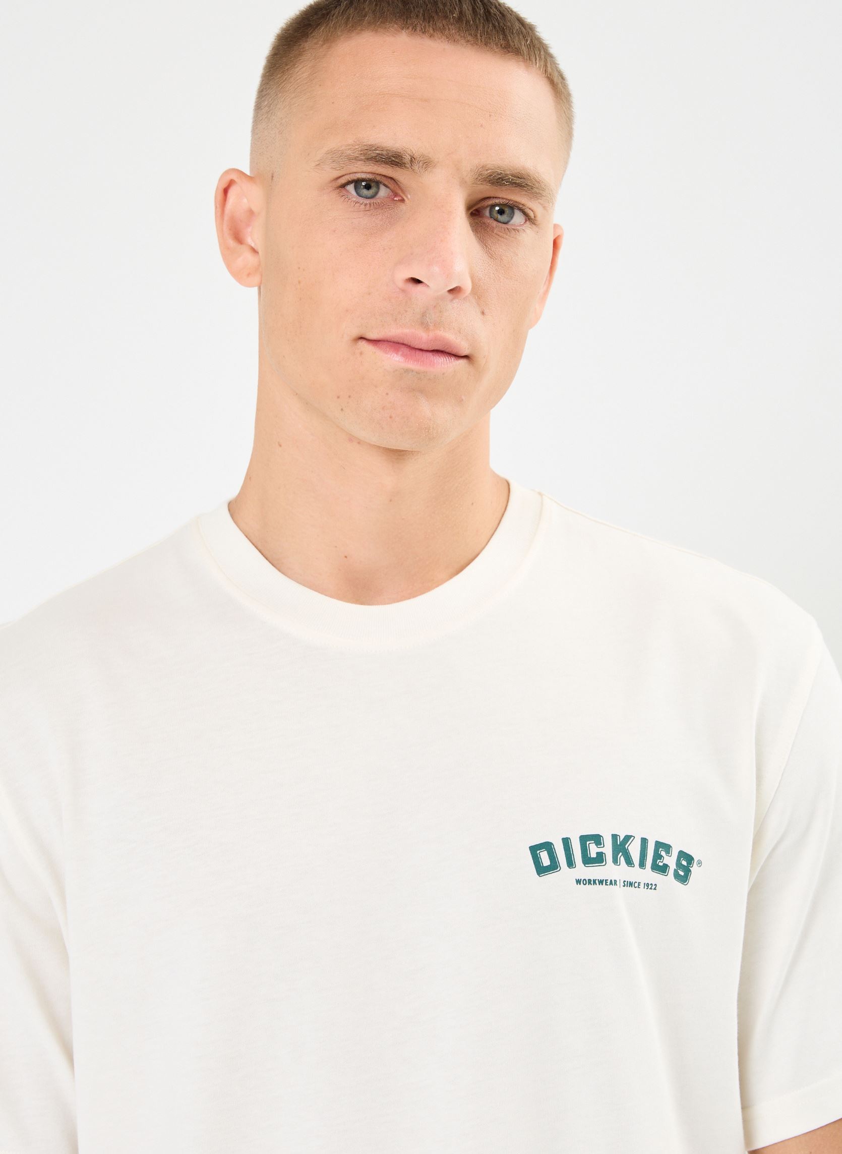 Tee-shirts manches courtes Dickies builder tee ss homme blanc Dickies Tee-shirts manches courtes Dickies builder tee ss homme blanc CLOUD
