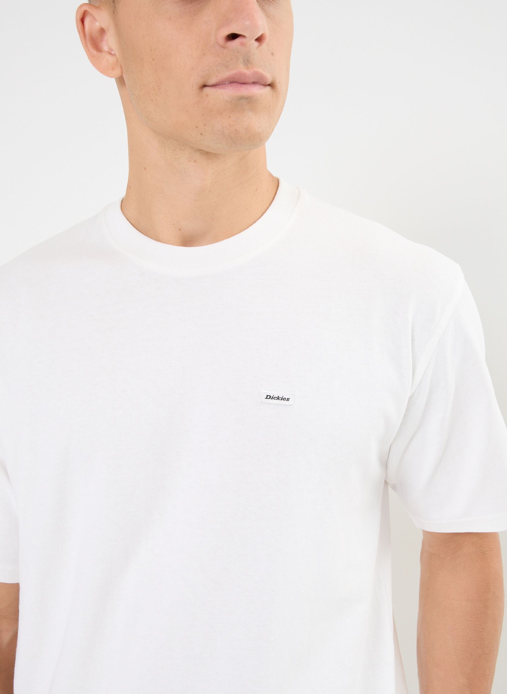 Camisetas de manga corta Clancy heavyweight tee hombre blanco Dickies Camisetas de manga corta Clancy heavyweight tee hombre blanco WHITE