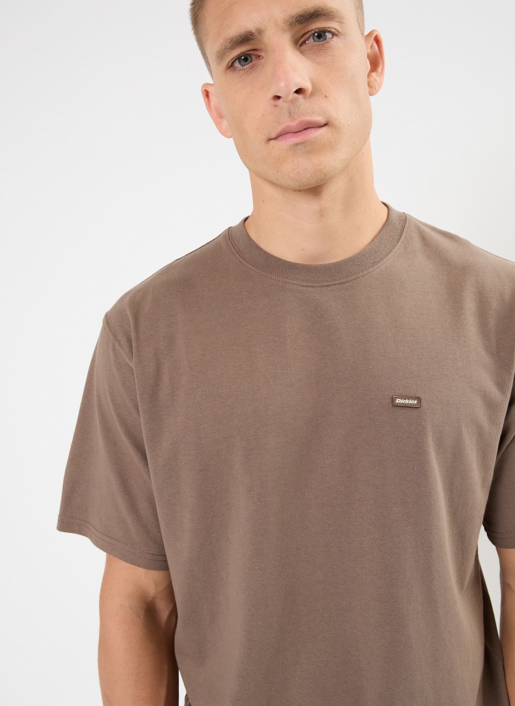 Kurzarm-T-Shirts Clancy heavyweight tee herren braun Dickies Kurzarm-T-Shirts Clancy heavyweight tee herren braun MUSHROOM