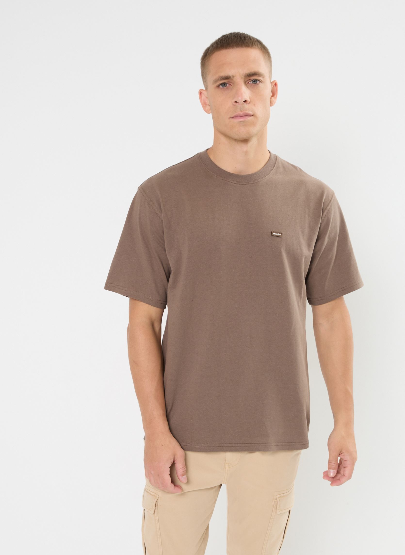 Vêtements Dickies Clancy heavyweight tee pour Accessoires