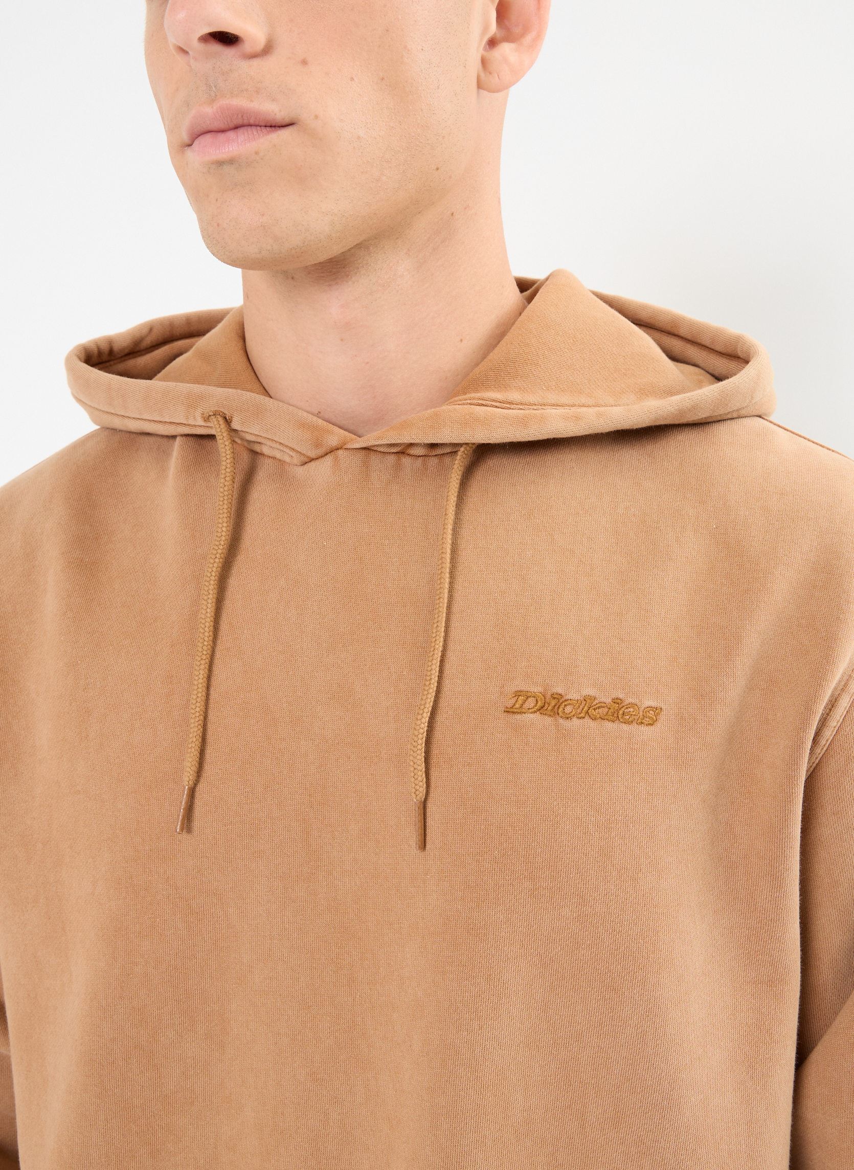 Sudaderas Plentywood hoodie hombre marrón Dickies Sudaderas Plentywood hoodie hombre marrón BROWN DUCK
