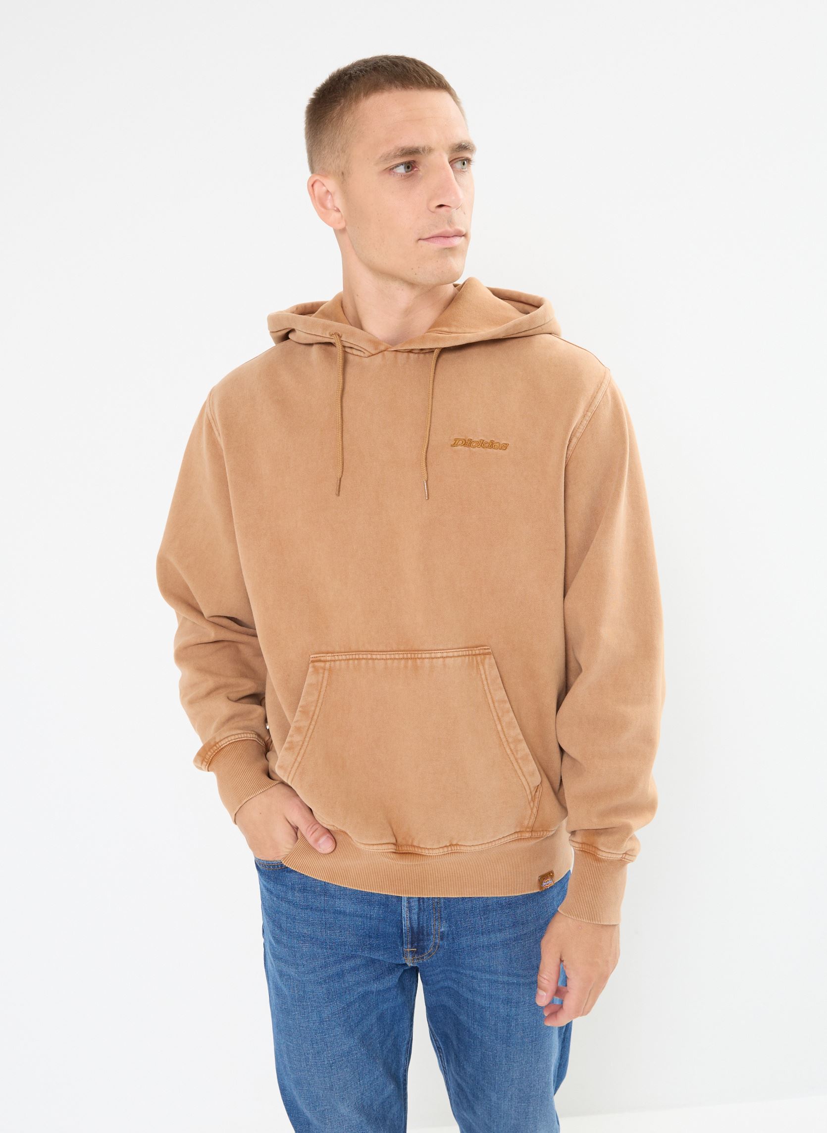 Vêtements Dickies Plentywood hoodie pour Accessoires