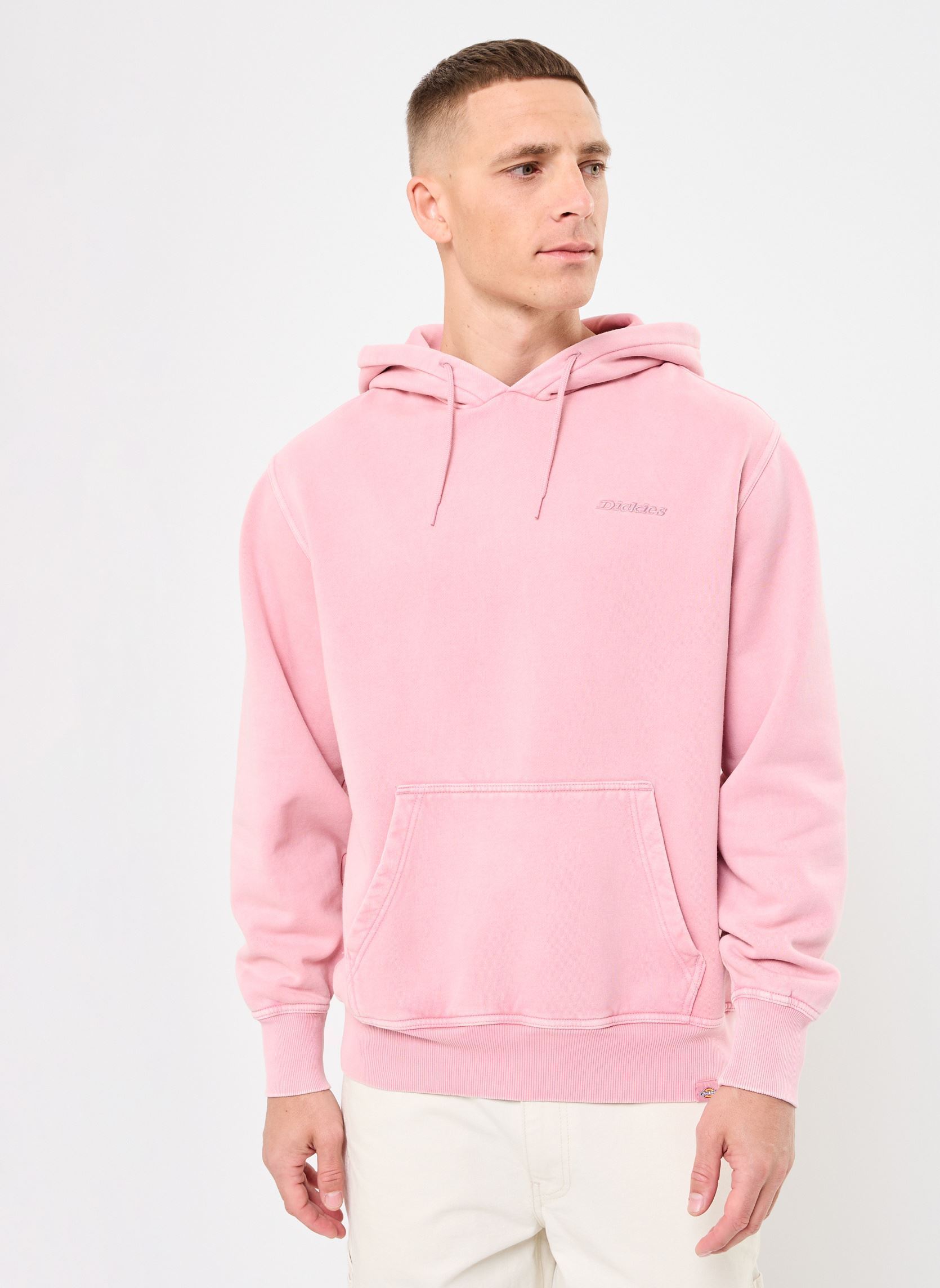 Vêtements Dickies Plentywood hoodie pour Accessoires - vue 2