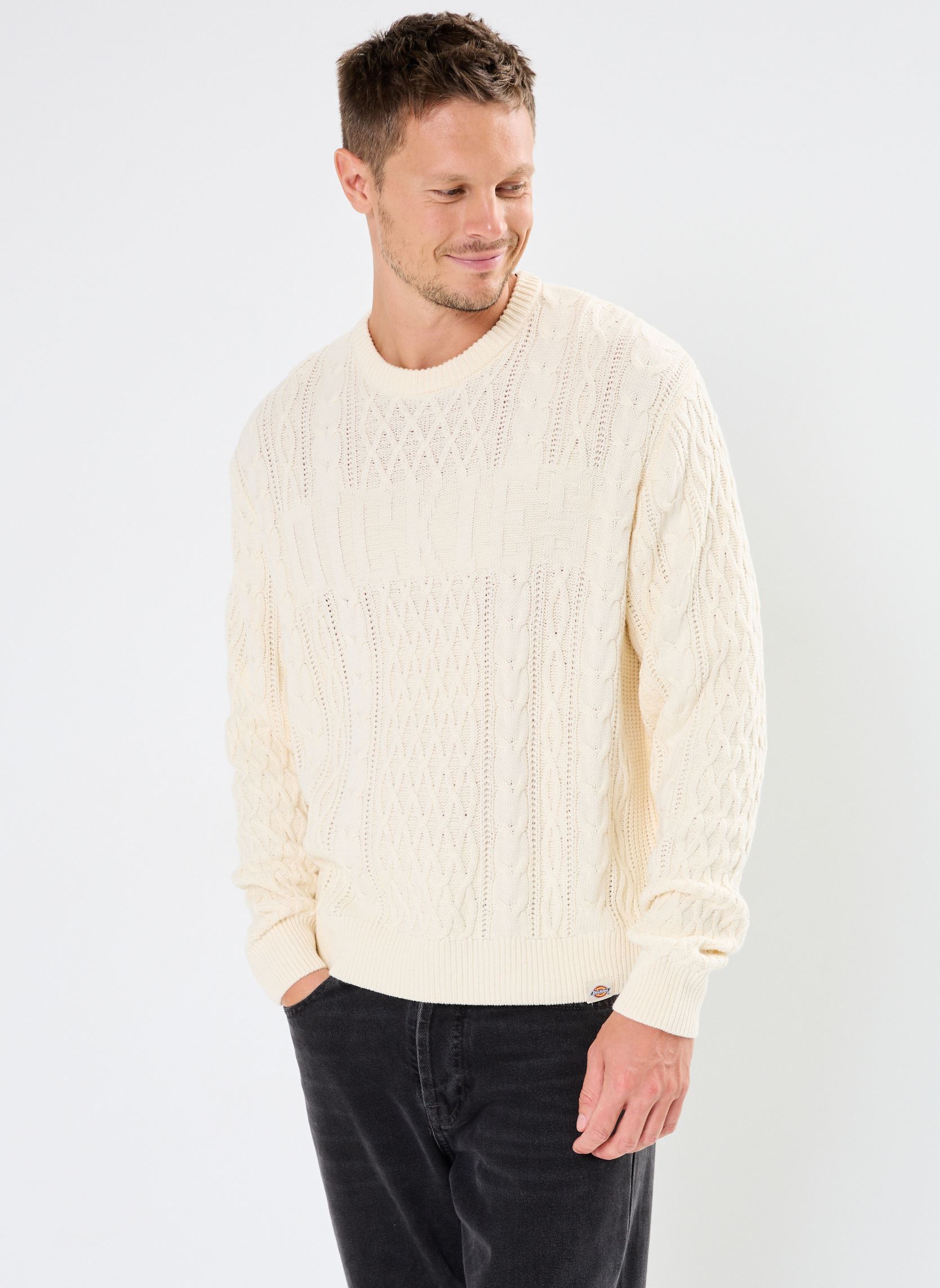 Vêtements Dickies Dickies script cable sweater pour Accessoires