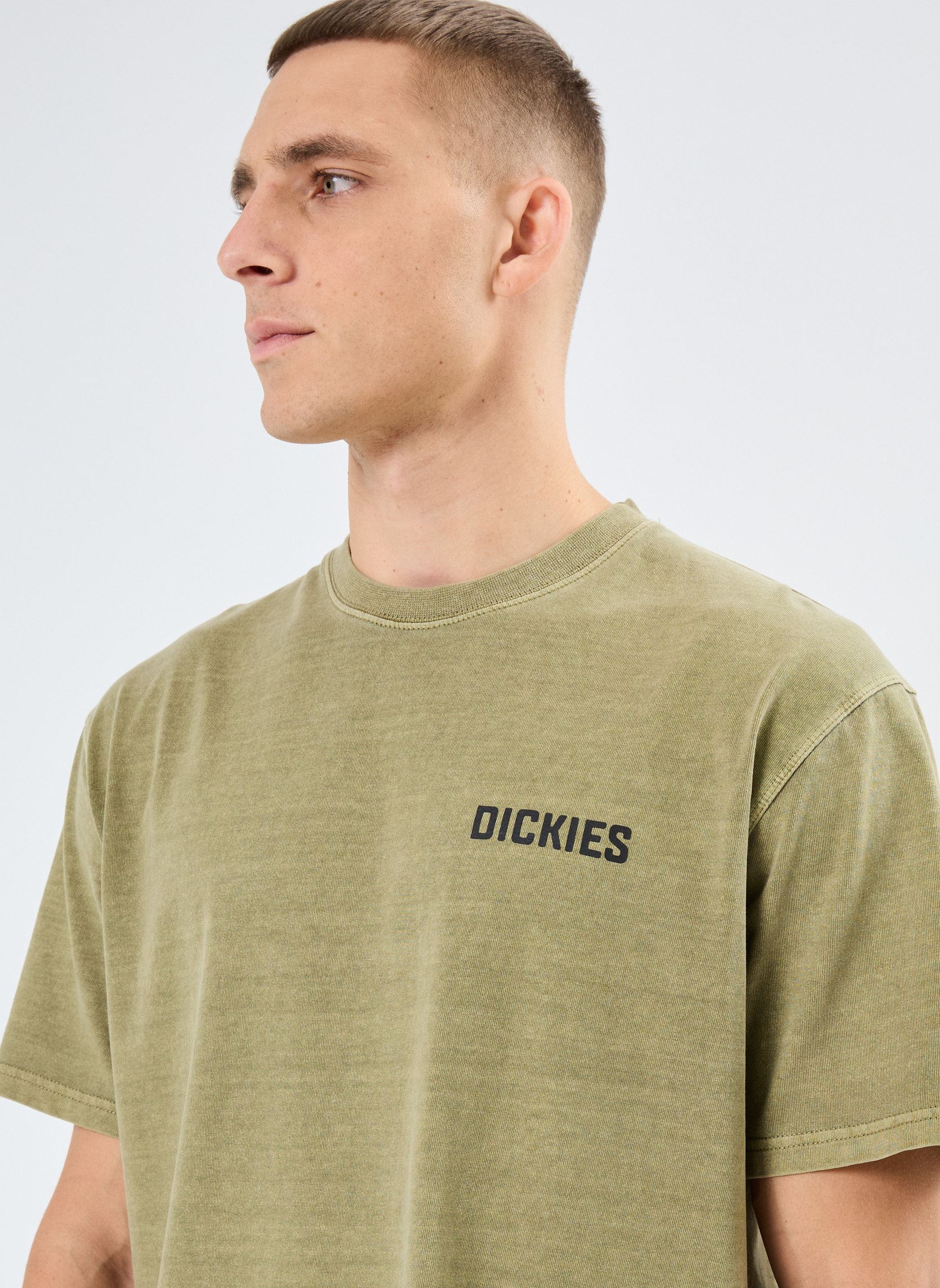 Tee-shirts manches courtes High flying workwear tee ss homme vert Dickies Tee-shirts manches courtes High flying workwear tee ss homme vert IMPERIAL GREEN