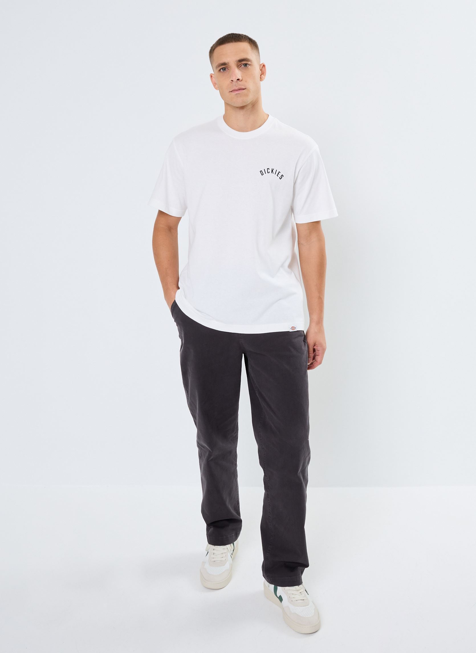 Tee-shirts manches courtes Dickies panther tee ss homme blanc Dickies Tee-shirts manches courtes Dickies panther tee ss homme blanc WHITE