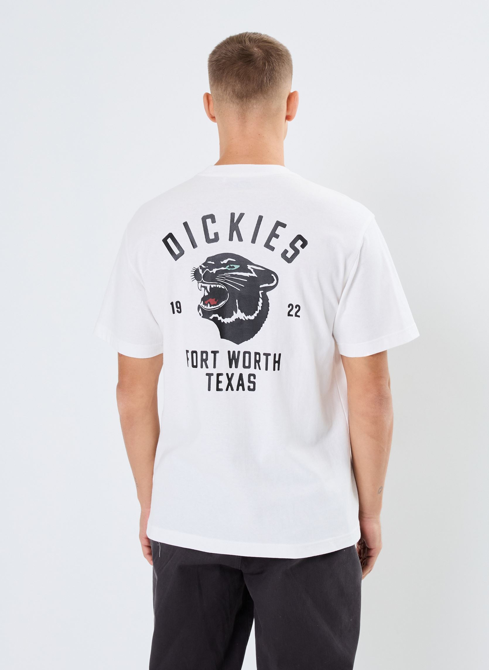 Tee-shirts manches courtes Dickies panther tee ss homme blanc Dickies Tee-shirts manches courtes Dickies panther tee ss homme blanc WHITE