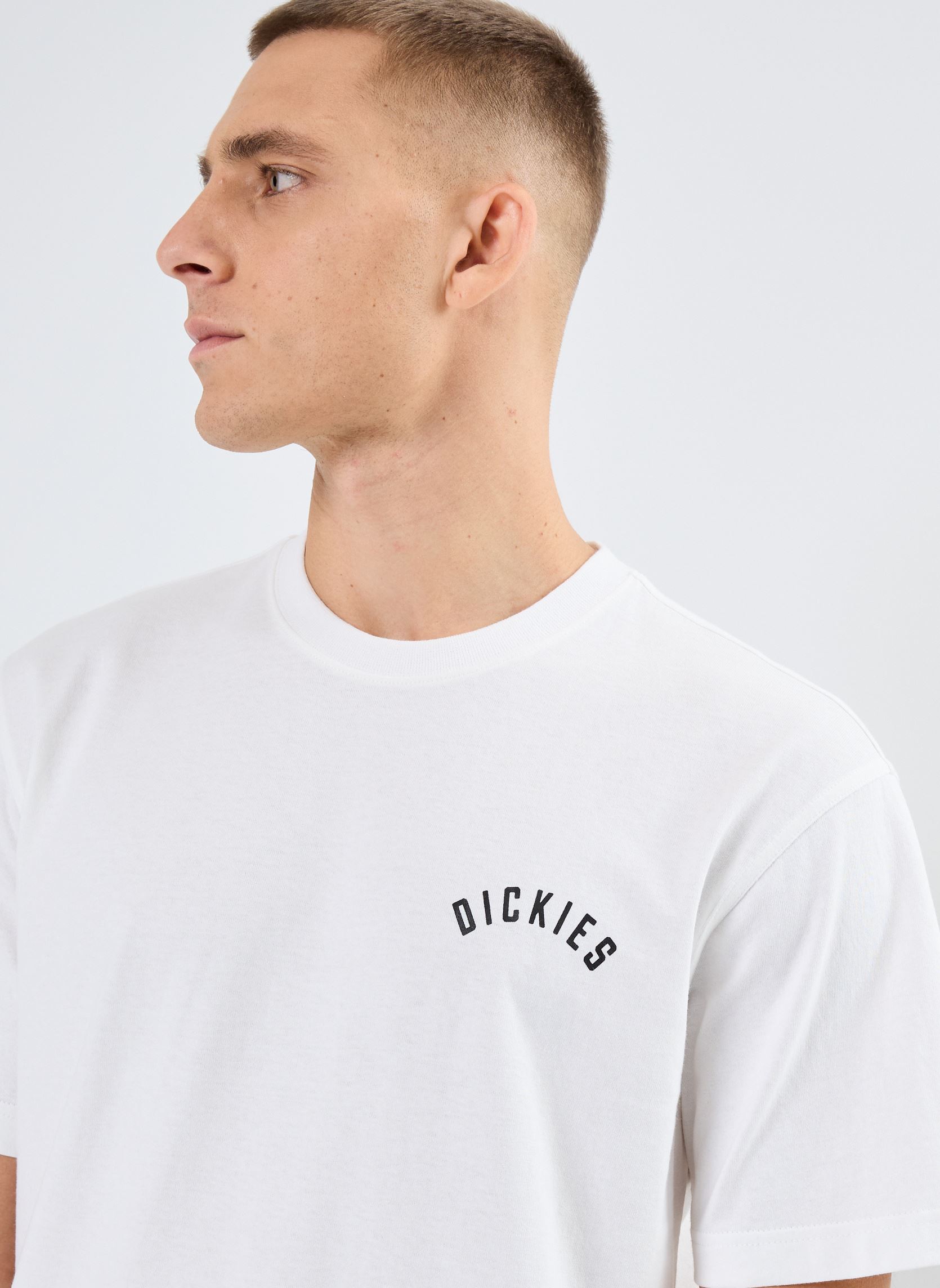 Tee-shirts manches courtes Dickies panther tee ss homme blanc Dickies Tee-shirts manches courtes Dickies panther tee ss homme blanc WHITE