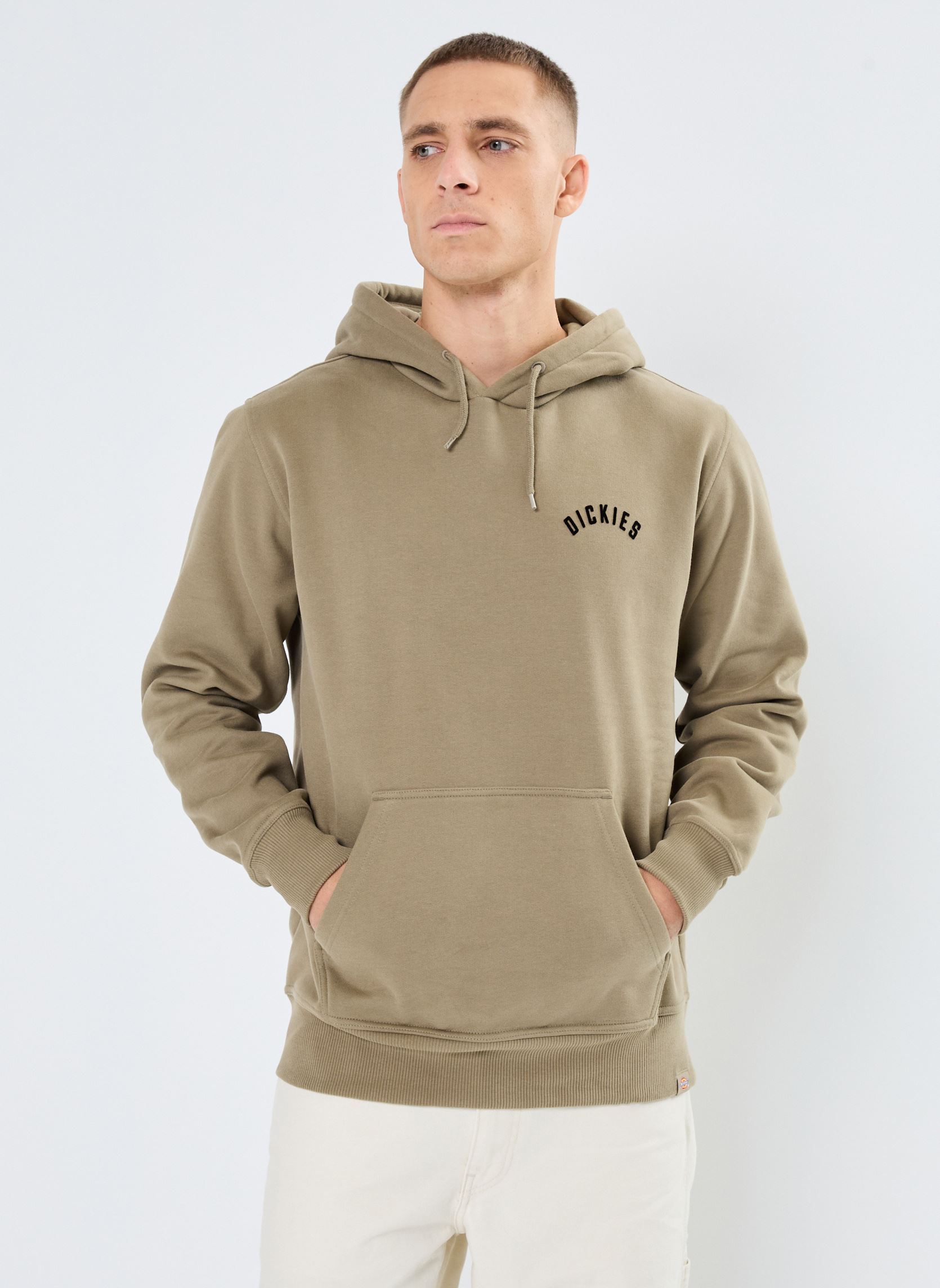 Jersey con capucha Dickies panther hoodie hombre verde Dickies Jersey con capucha Dickies panther hoodie hombre verde IMPERIAL GREEN