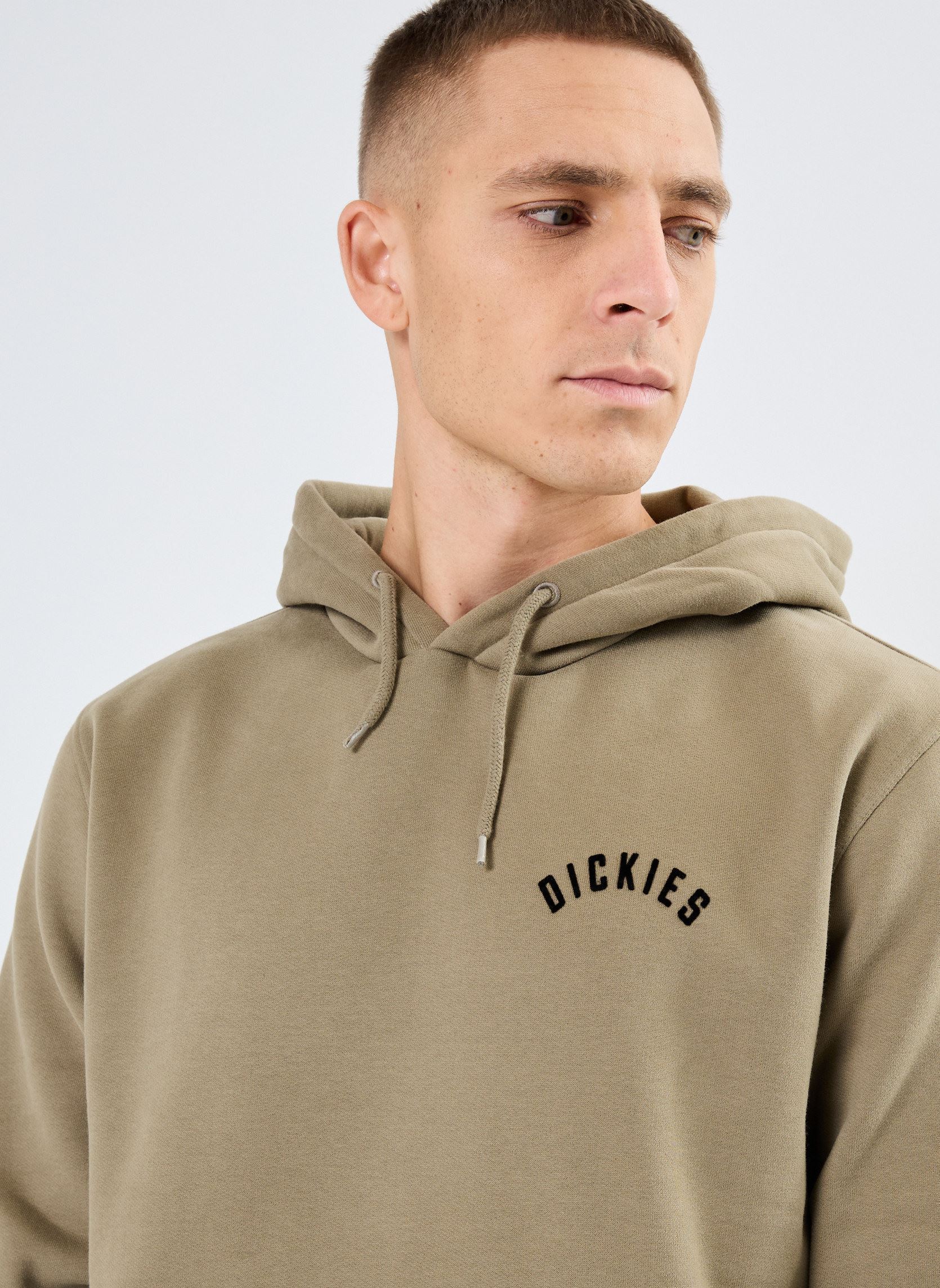 Jersey con capucha Dickies panther hoodie hombre verde Dickies Jersey con capucha Dickies panther hoodie hombre verde IMPERIAL GREEN