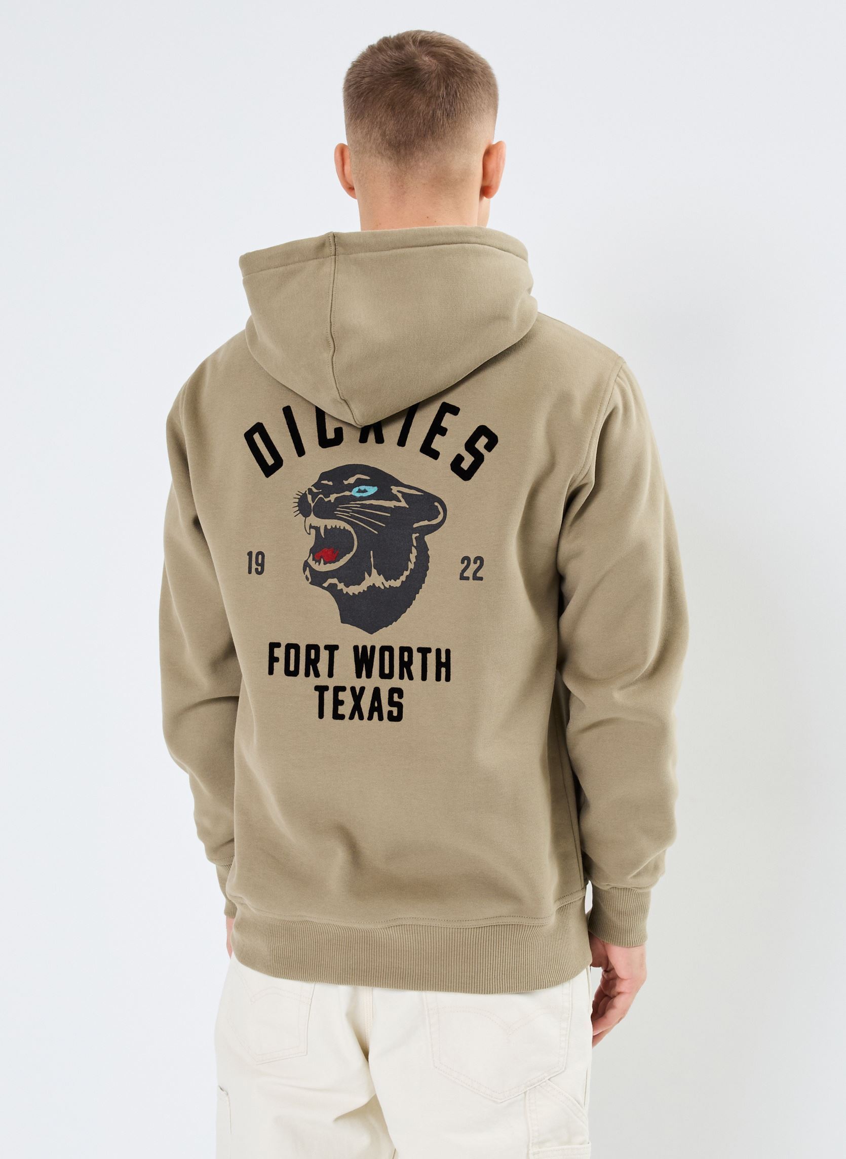 Vêtements Dickies Dickies panther hoodie pour Accessoires