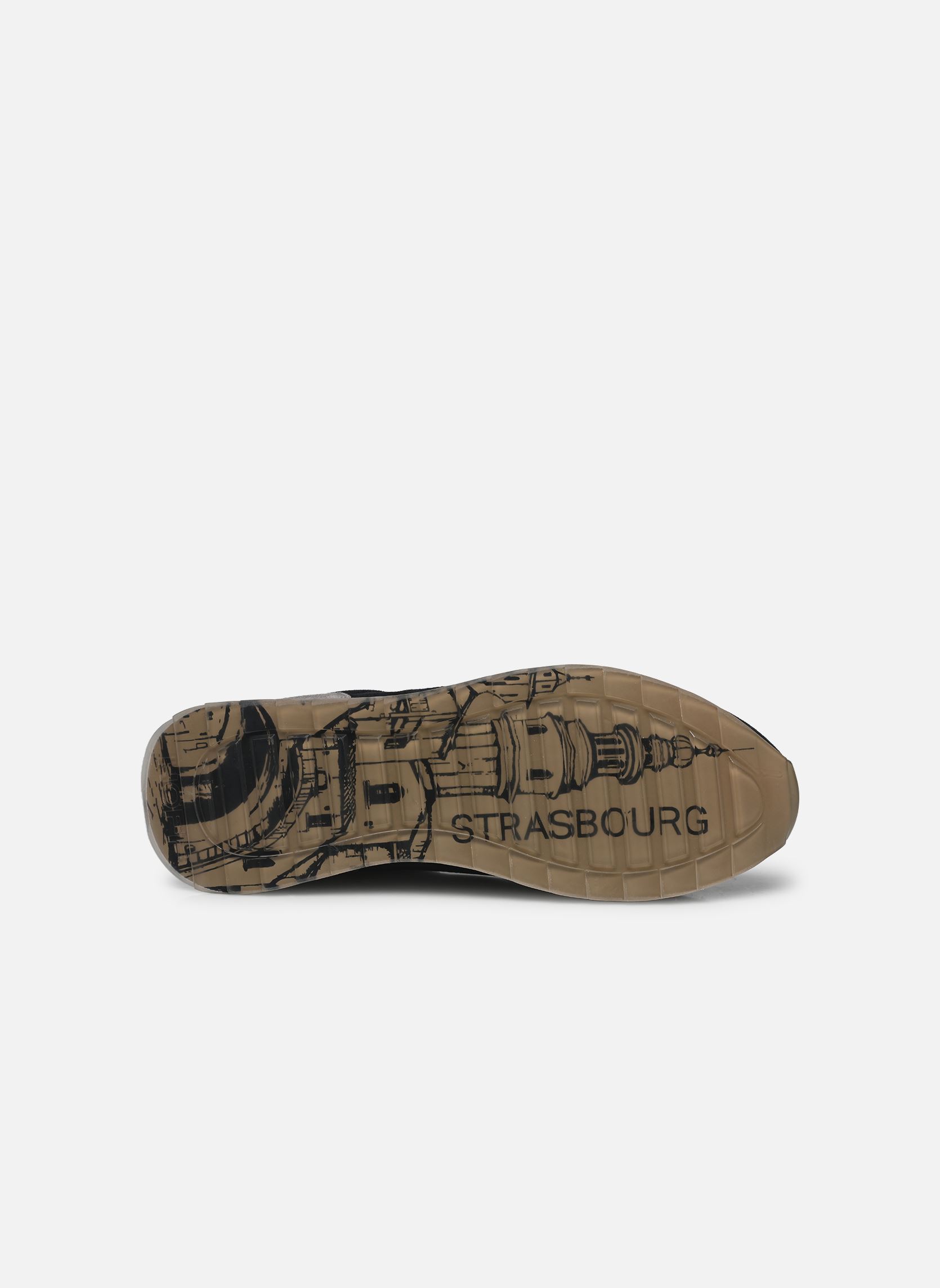 Baskets basses STRASBOURG homme bleu Hoff Baskets basses STRASBOURG homme bleu BLUE