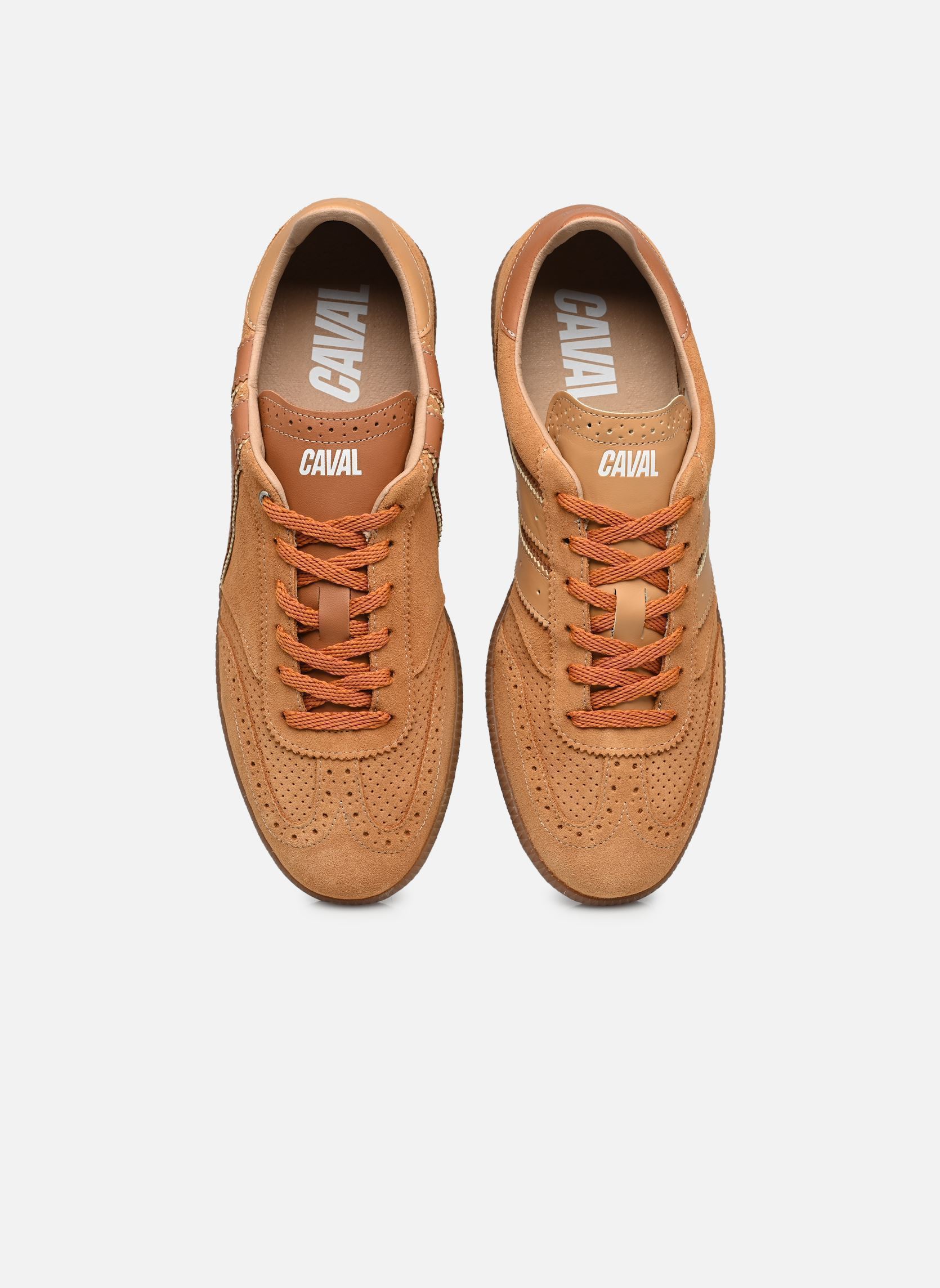 Sneakers PULSE M heren bruin Caval Sneakers PULSE M heren bruin HAZEL DEAN