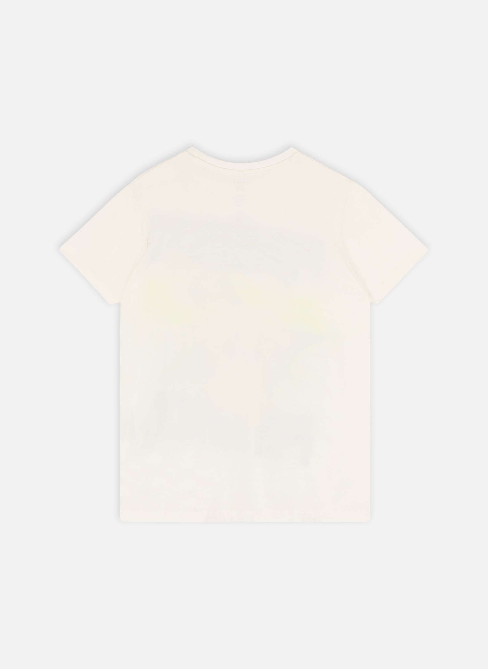 Tee-shirts manches courtes Nkmmaci Pokemon Ss Top Noos Bfu garçon multicolore Name it Tee-shirts manches courtes Nkmmaci Pokemon Ss Top Noos Bfu garçon multicolore JET STREAM
