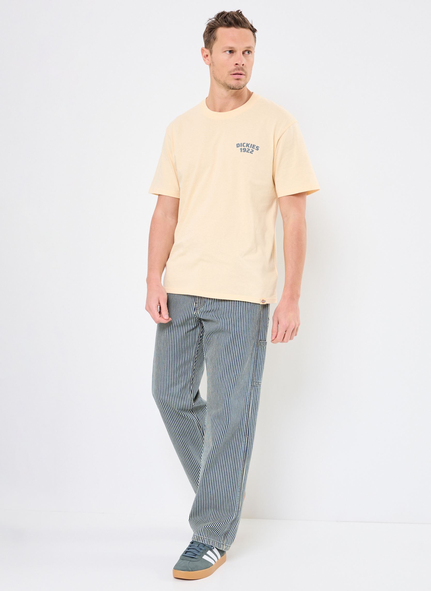 Pantalons chino 568 Loose Strt Carpenter homme bleu Levi's Pantalons chino 568 Loose Strt Carpenter homme bleu AGED RR STRIPE