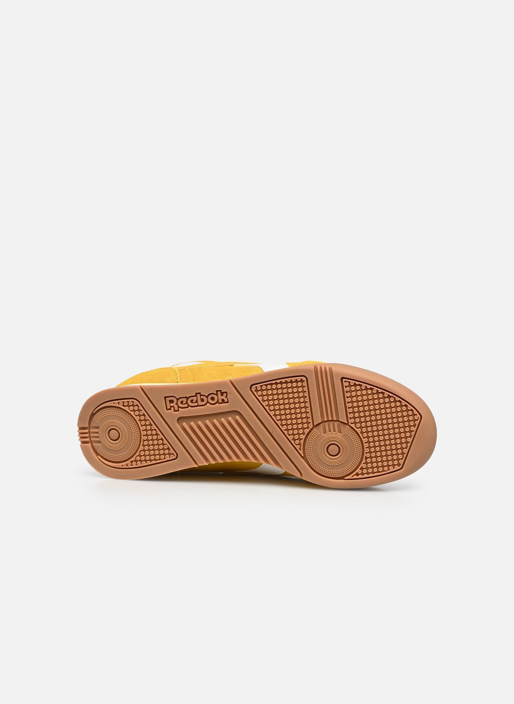 Baskets Campio XT jaune Reebok Baskets Campio XT jaune GOLDENHAZE/BLACK/GUM