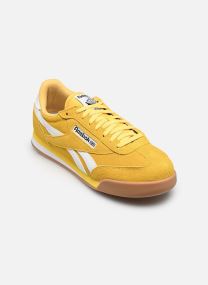 Baskets Campio XT blanc