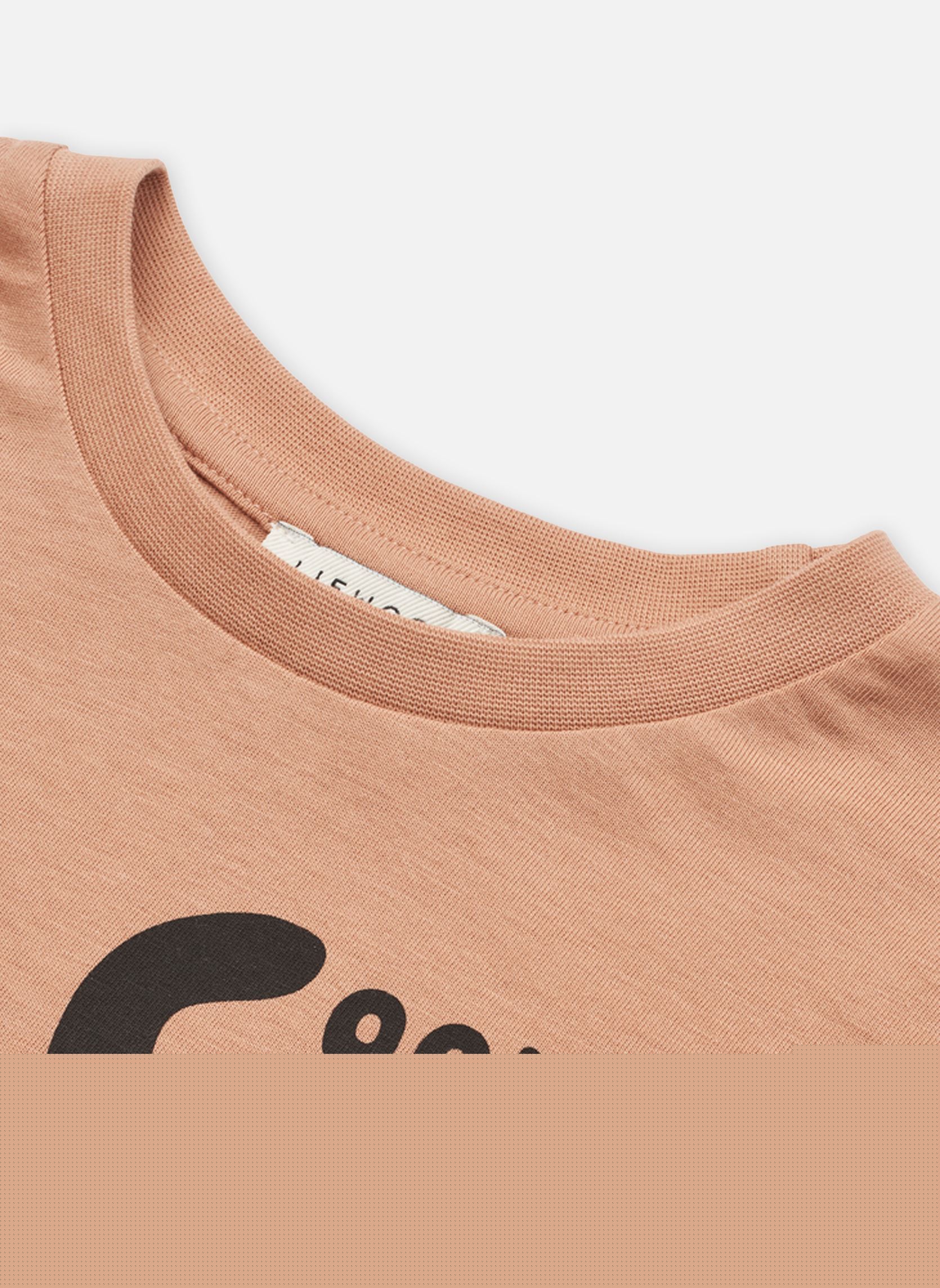 Tee-shirts manches longues Apia Placement Longsleeve T-shirt rose Liewood Tee-shirts manches longues Apia Placement Longsleeve T-shirt rose CAT / TUSCANY ROSE