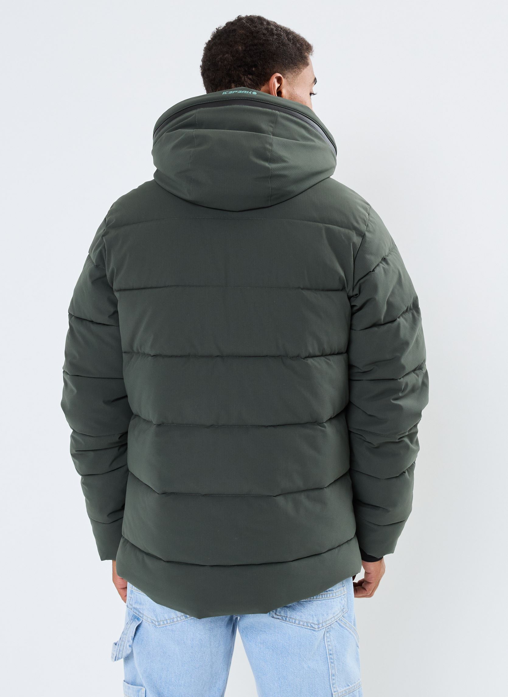 Doudounes BIXBY homme vert Icepeak Doudounes BIXBY homme vert Vert Fonce
