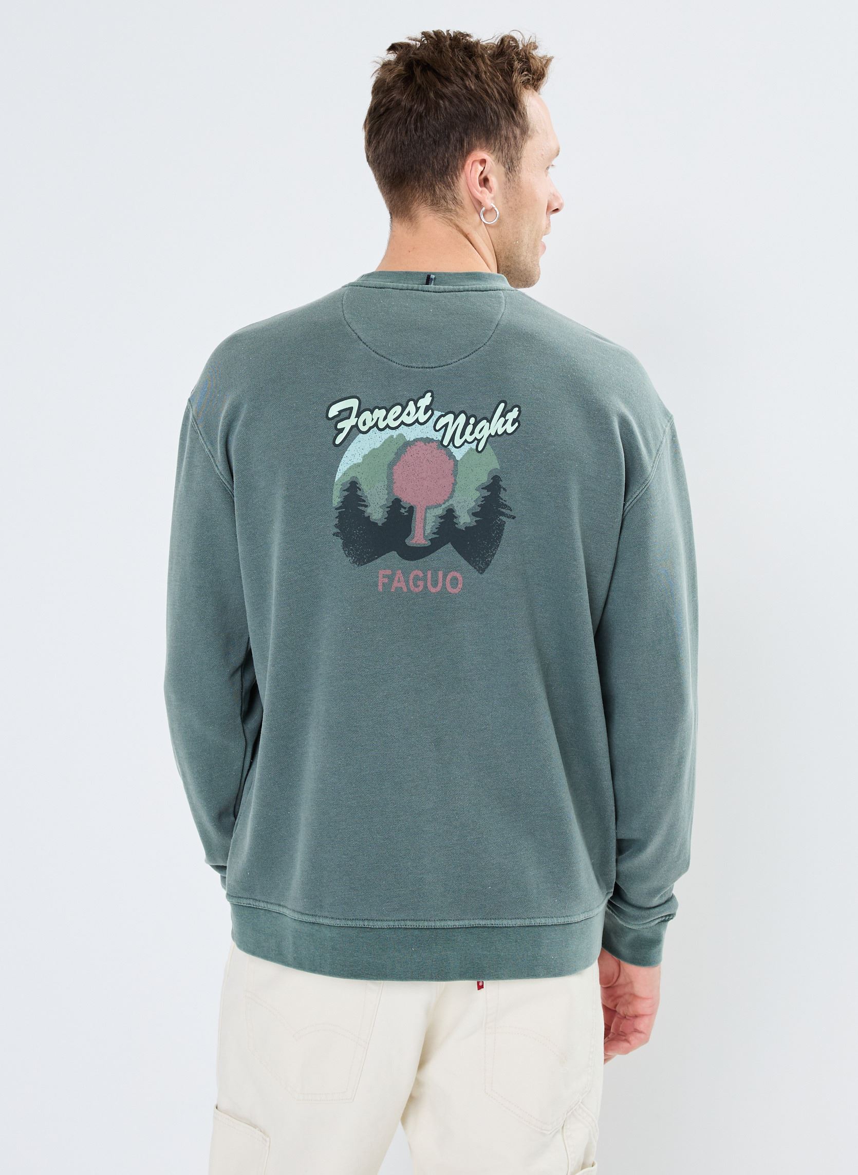 Pulls Fango Sweatshirt Cotton homme vert Faguo Pulls Fango Sweatshirt Cotton homme vert GRE02