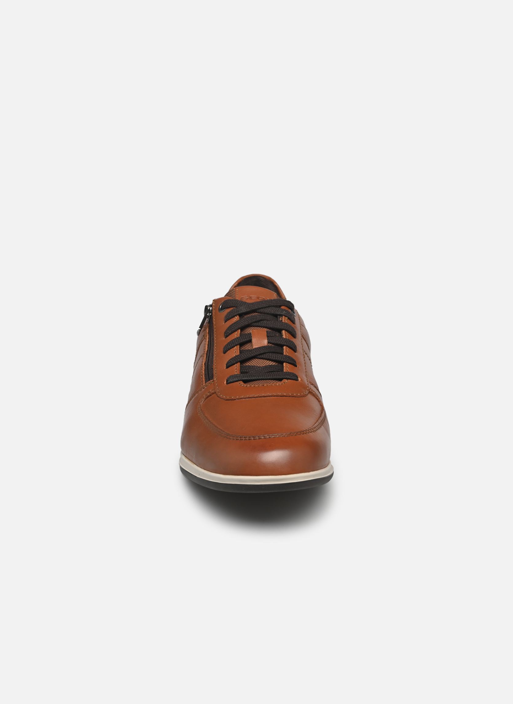 Baskets U RENAN B homme marron Geox Baskets U RENAN B homme marron Brun Cotto