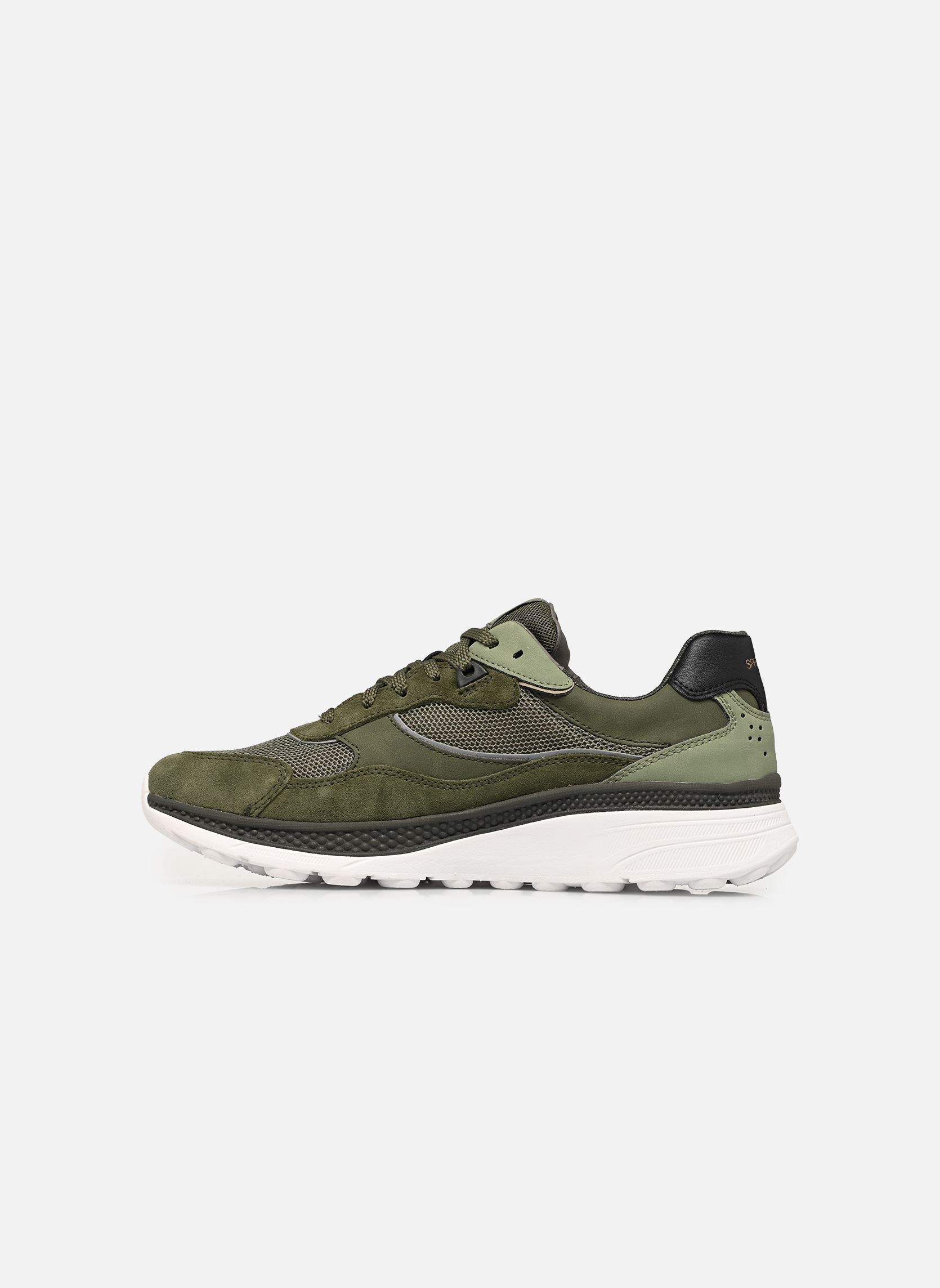 Sneaker U SPHERICA ACTIF X1 herren grün Geox Sneaker U SPHERICA ACTIF X1 herren grün MUSK