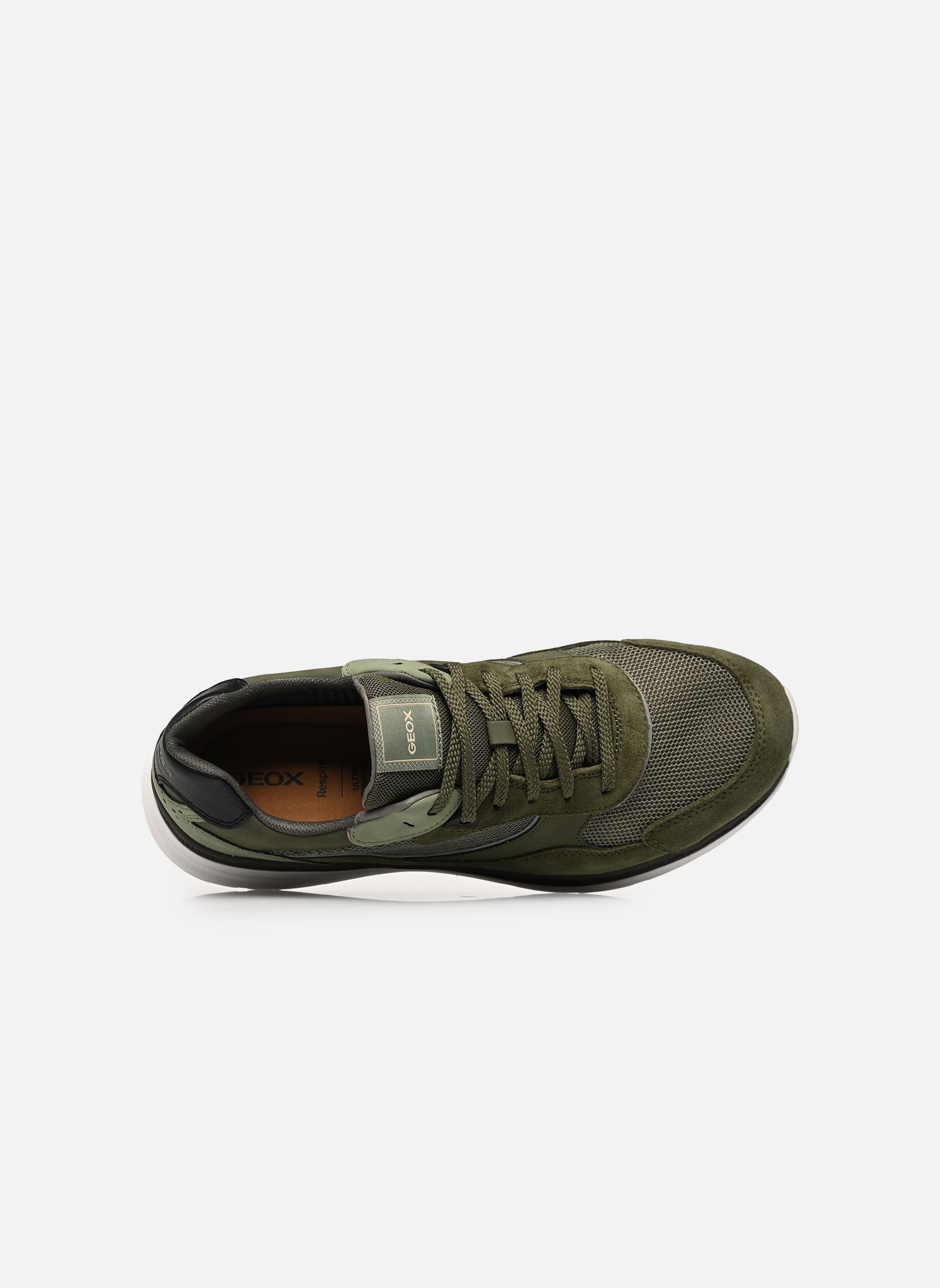 Sneaker U SPHERICA ACTIF X1 herren grün Geox Sneaker U SPHERICA ACTIF X1 herren grün MUSK