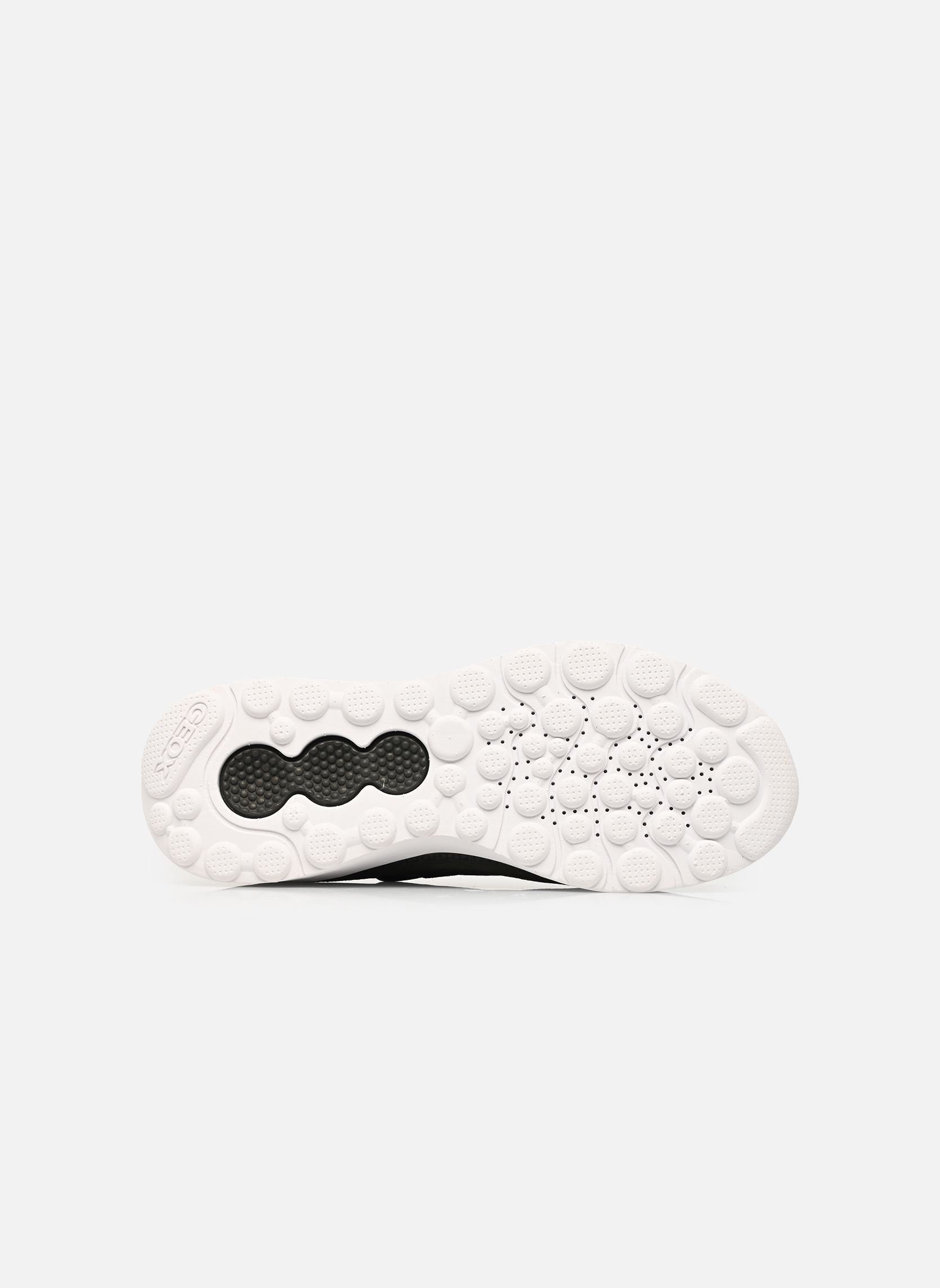 Sneaker U SPHERICA ACTIF X1 herren grün Geox Sneaker U SPHERICA ACTIF X1 herren grün MUSK
