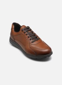 Derbies U SPHERICA EC12 A homme marron
