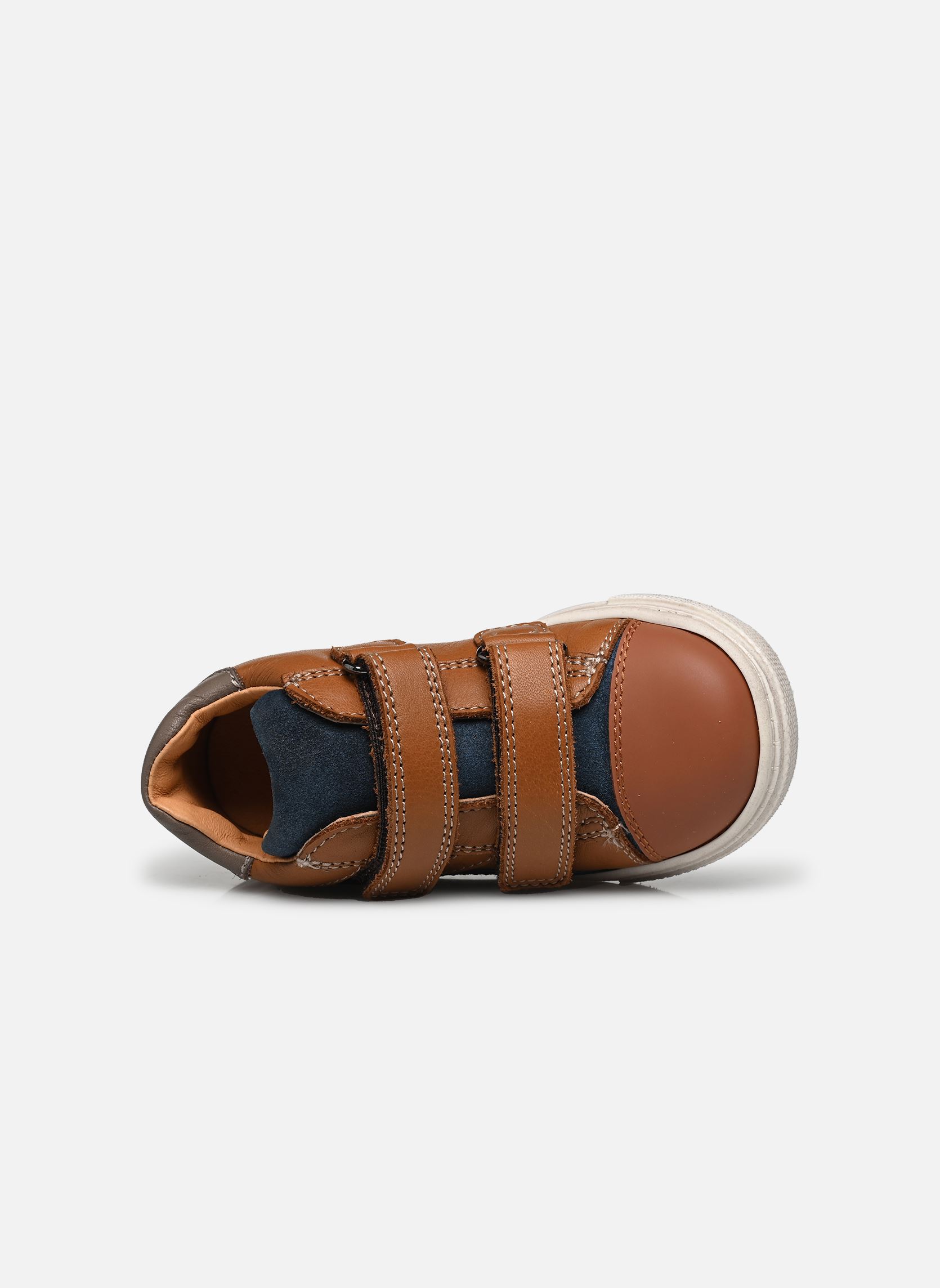 Baskets basses Android Velcro garçon marron Babybotte Baskets basses Android Velcro garçon marron TEXANO CUOIO/PAUL AVORIO