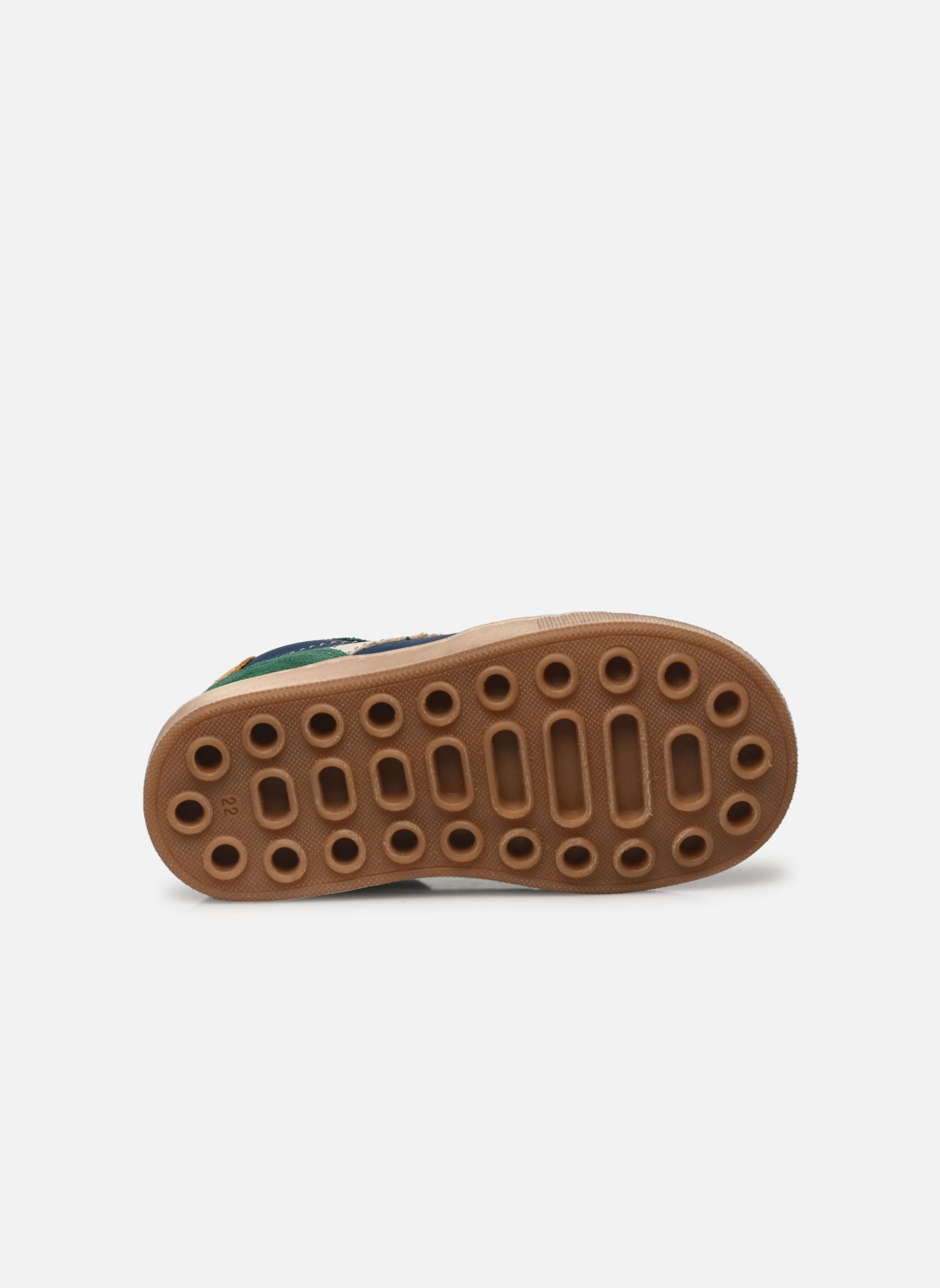 Baskets basses Formidable garçon multicolore Babybotte Baskets basses Formidable garçon multicolore BLEU