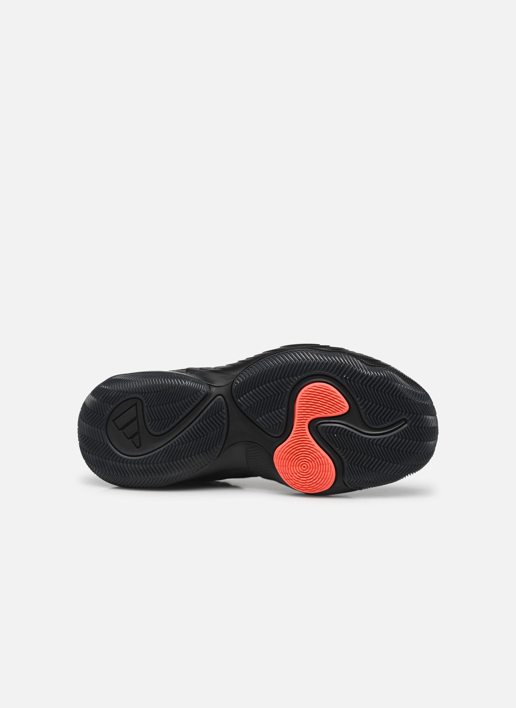 Scarpe da sport Trae Unlimited 2 J nero adidas sportswear Scarpe da sport Trae Unlimited 2 J nero NOIESS/CARBON/ROUGES