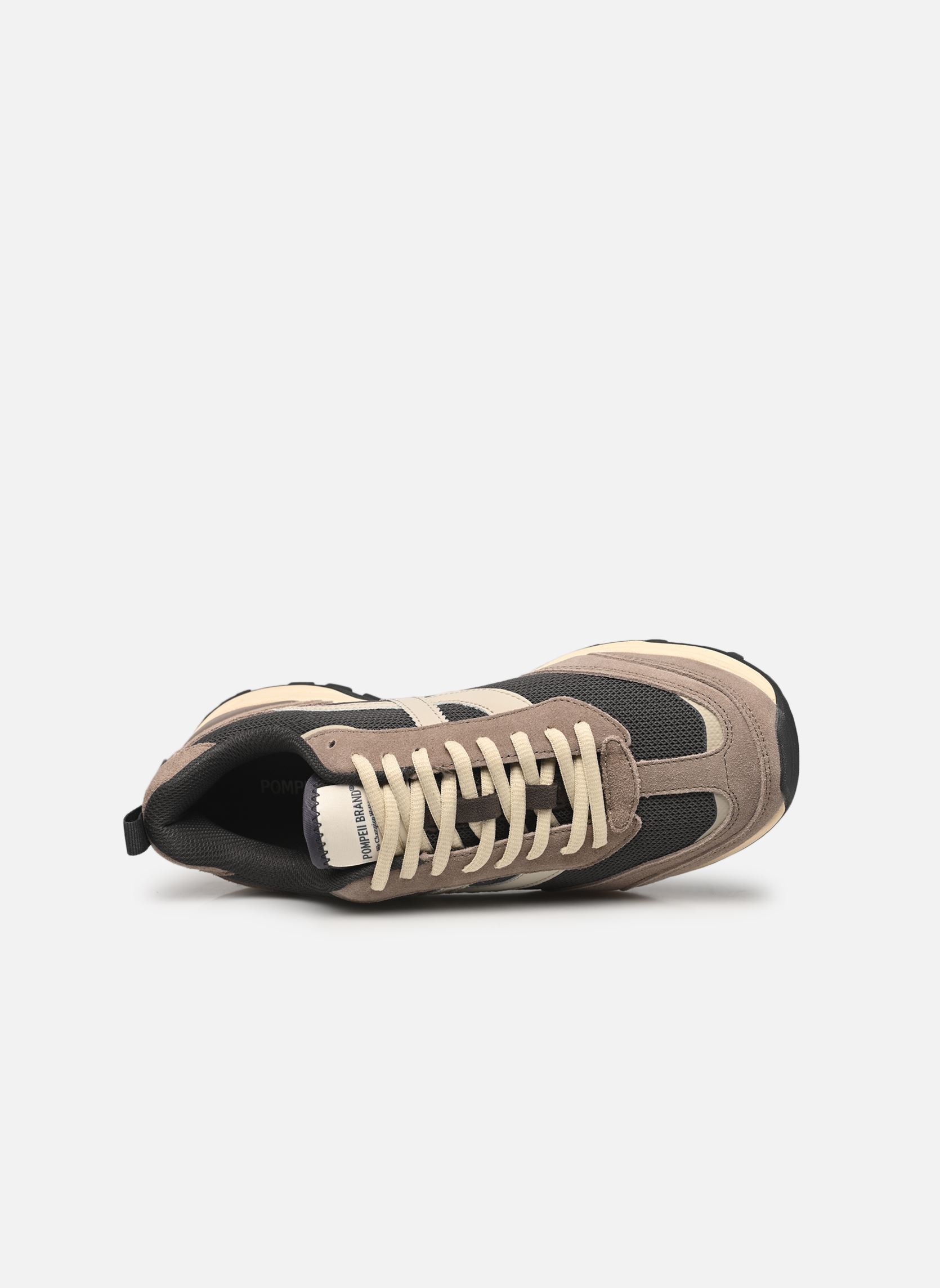 Baskets running BLAZE NYLON homme marron Pompeii Baskets running BLAZE NYLON homme marron NIQUEL ANTHRACITE