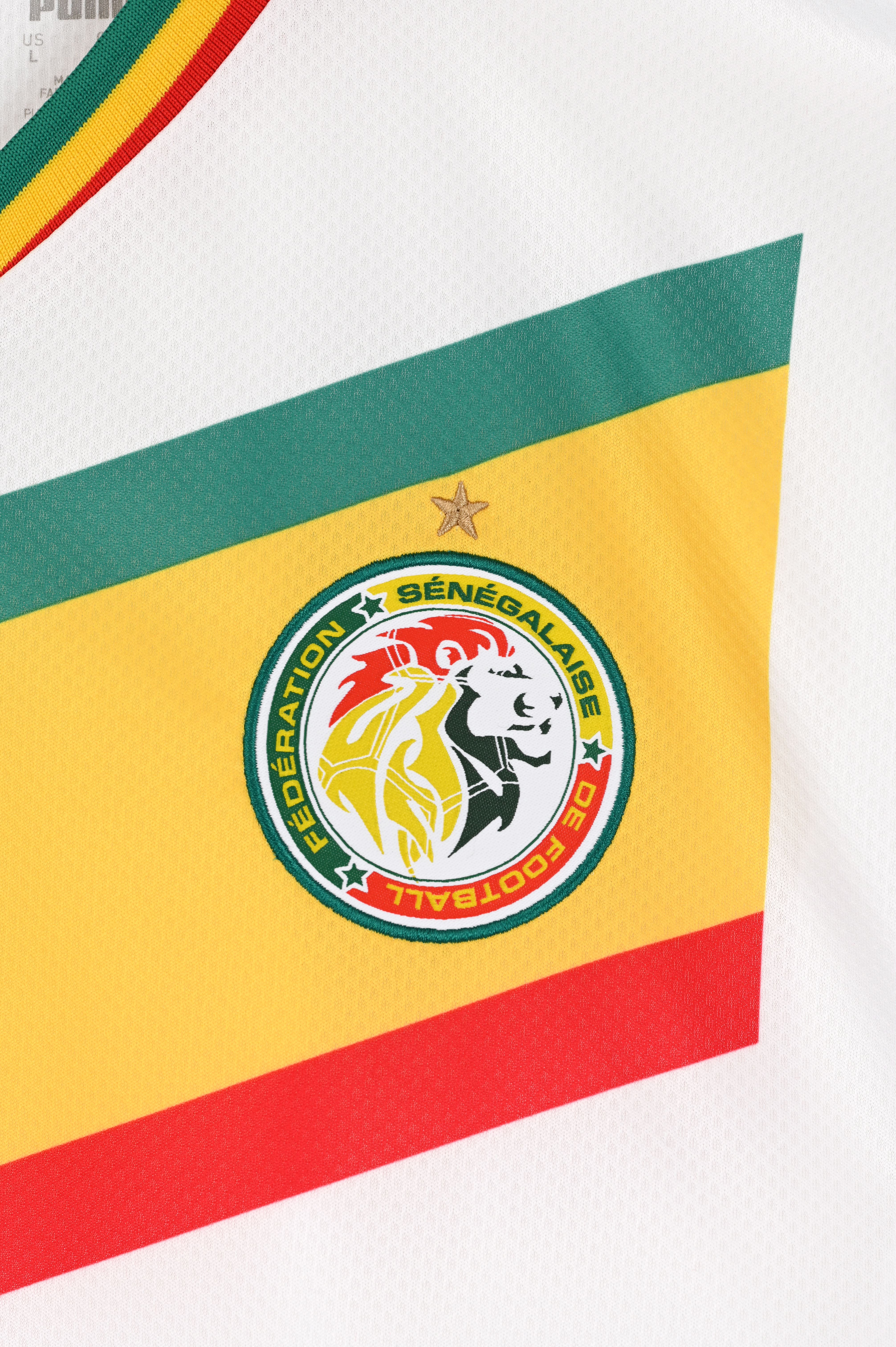 Tee-shirts manches courtes Maillot de foot Sénégal replica W - Unis femme multicolore Puma Tee-shirts manches courtes Maillot de foot Sénégal replica W - Unis femme multicolore PUMA WHITE-PEPPER GREEN