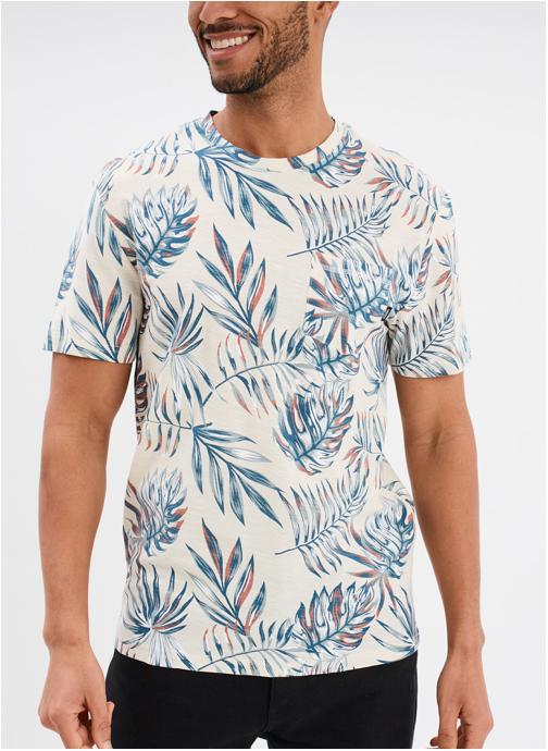CREEKS Tee-shirts T-shirt - CRE1 TOULOUSE homme multicolore