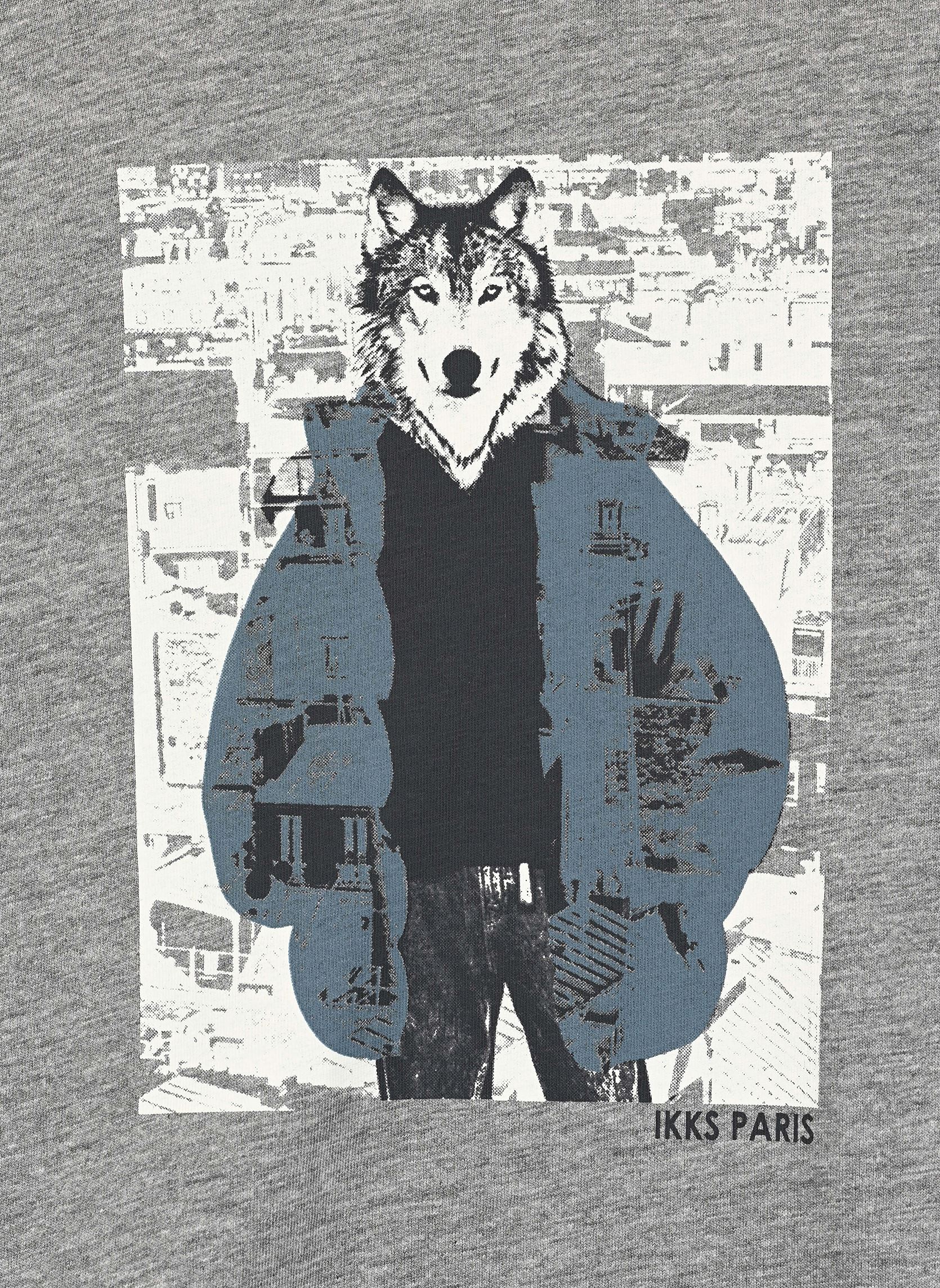 Tee-shirts manches longues XZ10293 garçon gris IKKS JUNIOR Tee-shirts manches longues XZ10293 garçon gris 25-GRIS CHINÉ FONCÉ
