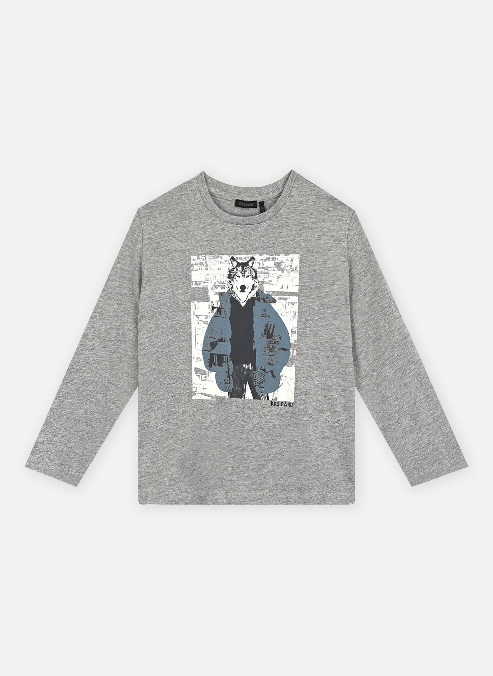 Tee-shirts manches longues XZ10293 garçon gris IKKS JUNIOR Tee-shirts manches longues XZ10293 garçon gris 25-GRIS CHINÉ FONCÉ