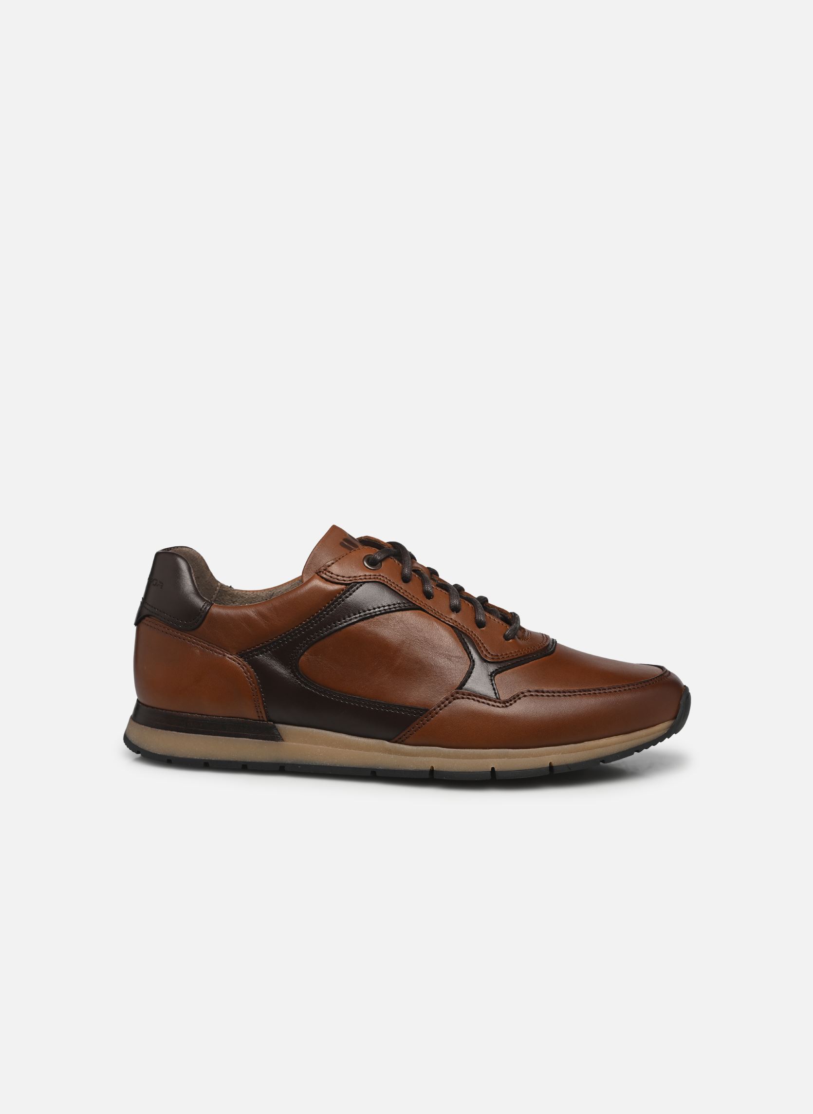 Baskets CAULI homme marron Pius Gabor Baskets CAULI homme marron BURN, COGNAC/MOCCA