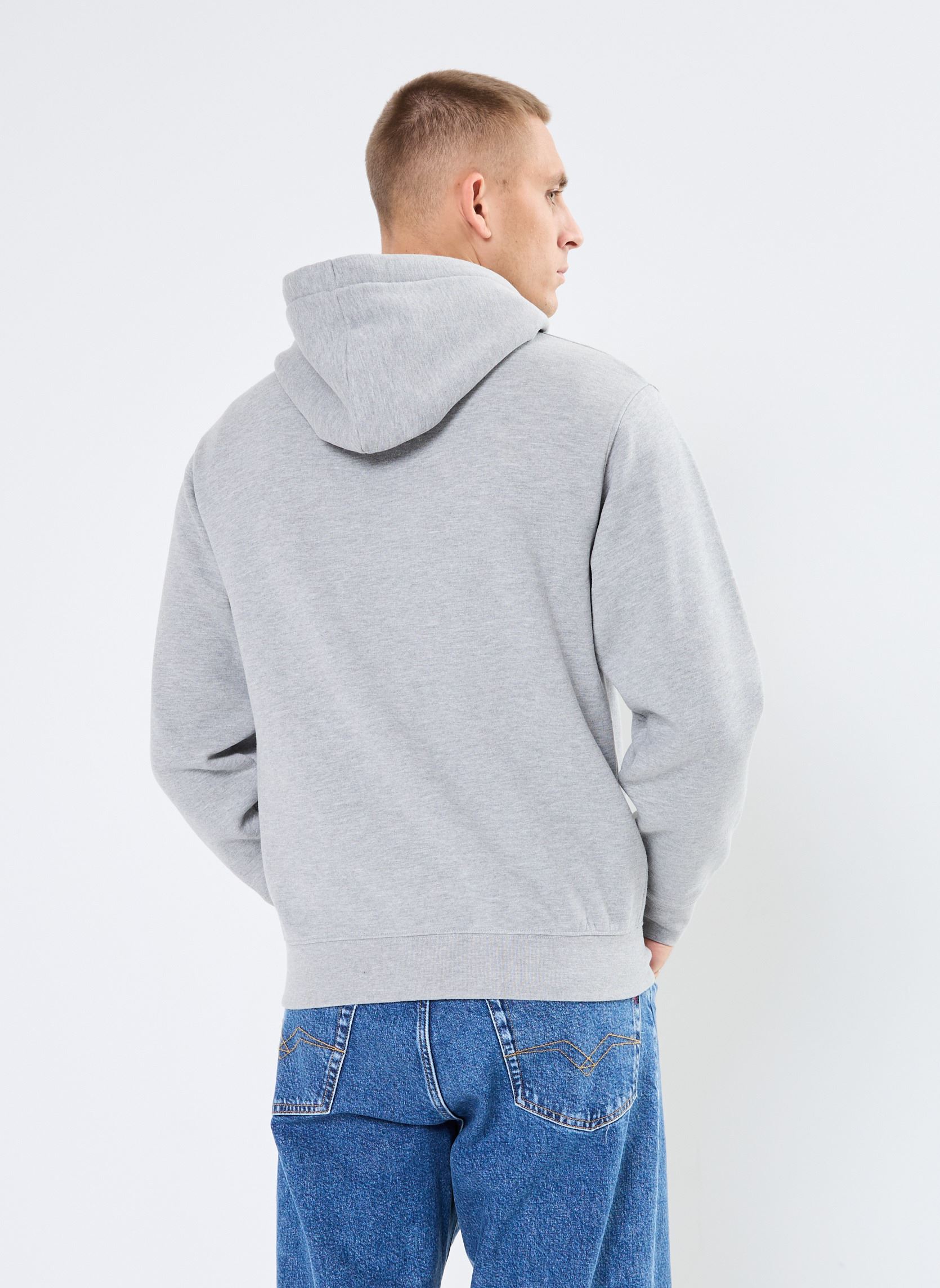 Sweatshirts Sweat Capuche heren grijs Replay Sweatshirts Sweat Capuche heren grijs LIGHT GREY MELANGE