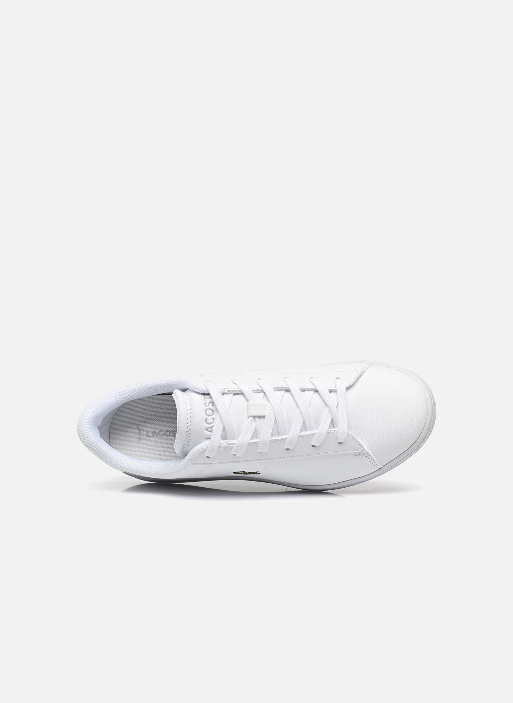 Baskets CARNABY SUJ blanc Lacoste Baskets CARNABY SUJ blanc wht/wht