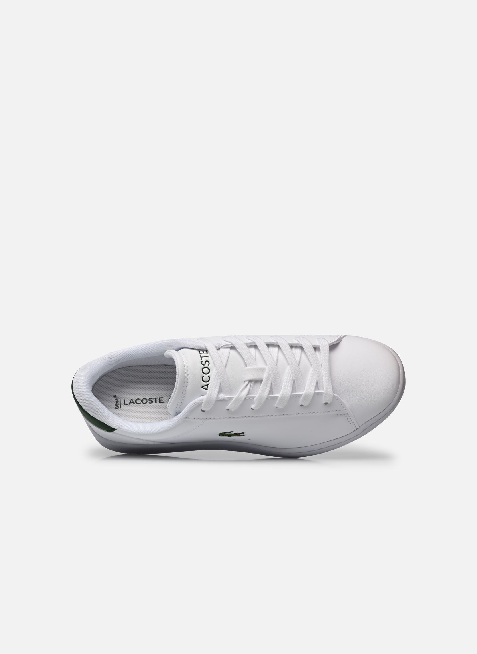 Baskets CARNABY SUJ blanc Lacoste Baskets CARNABY SUJ blanc WHT/DK GRN